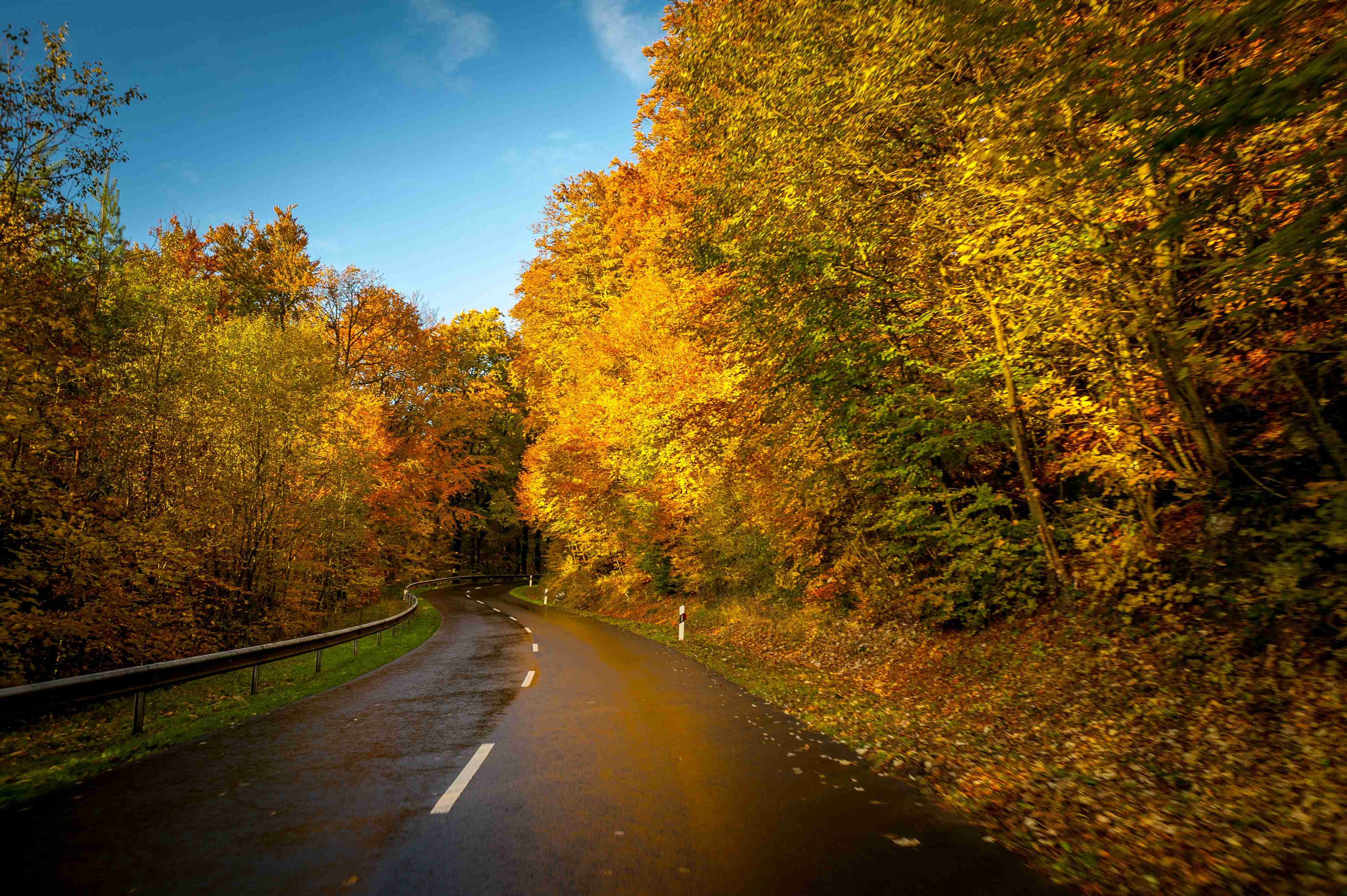 Autumn Roadway Surrounded by Fall Foliage