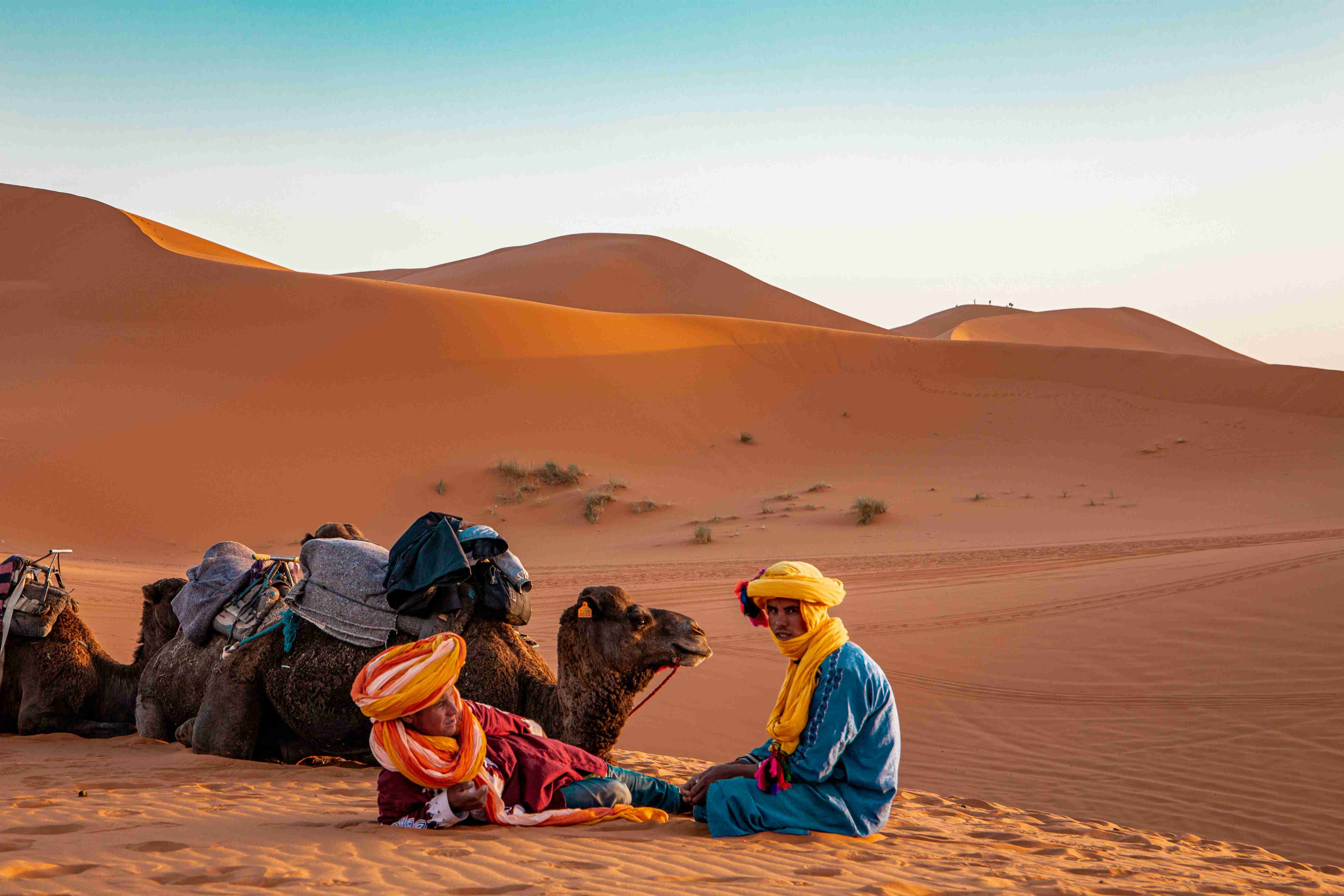 Camel Guide Resting in Sahara Dunes at Sunset