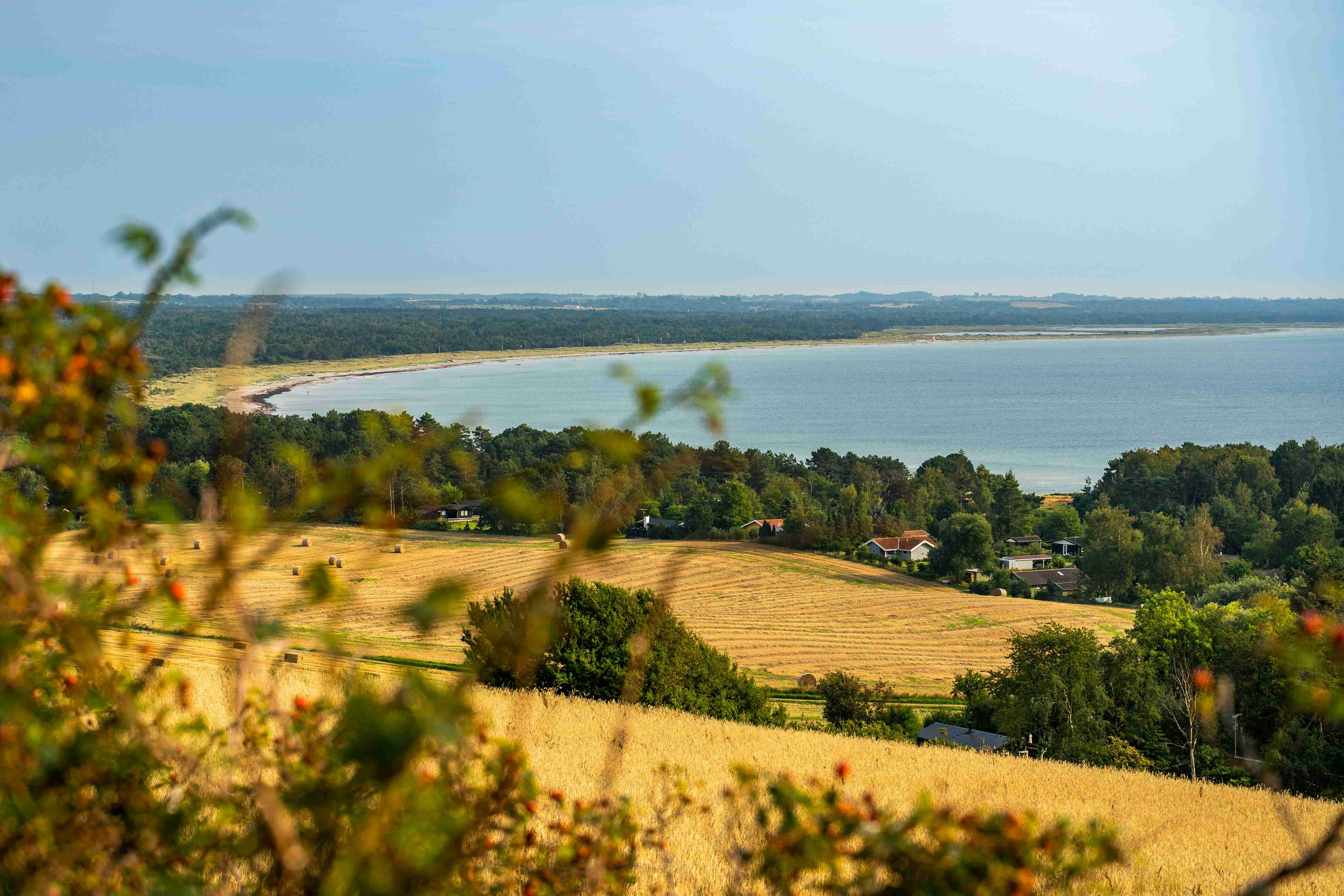 Coastal View Over Golden Fields and Beach