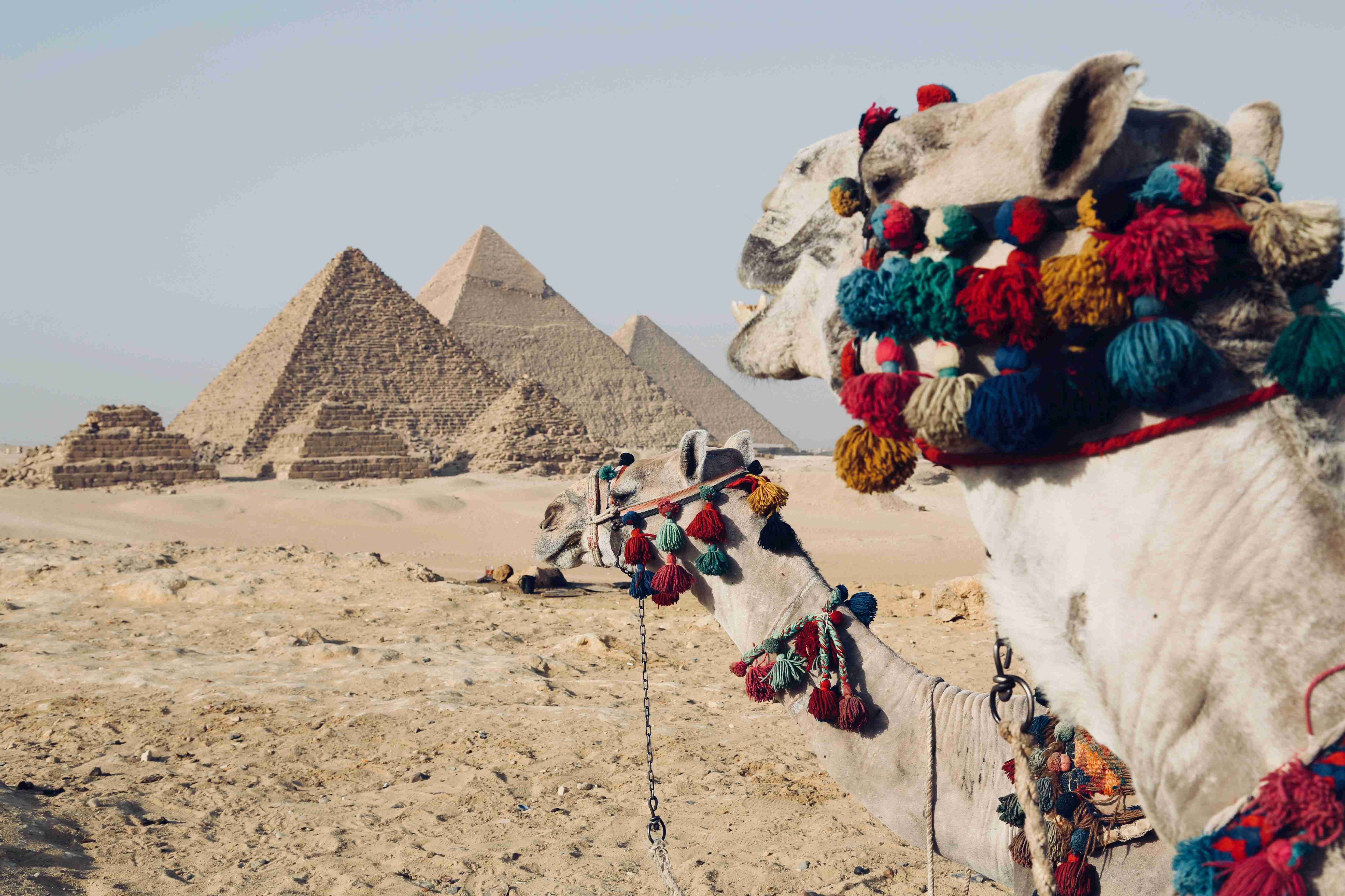 Best Car Insurance in Egypt
