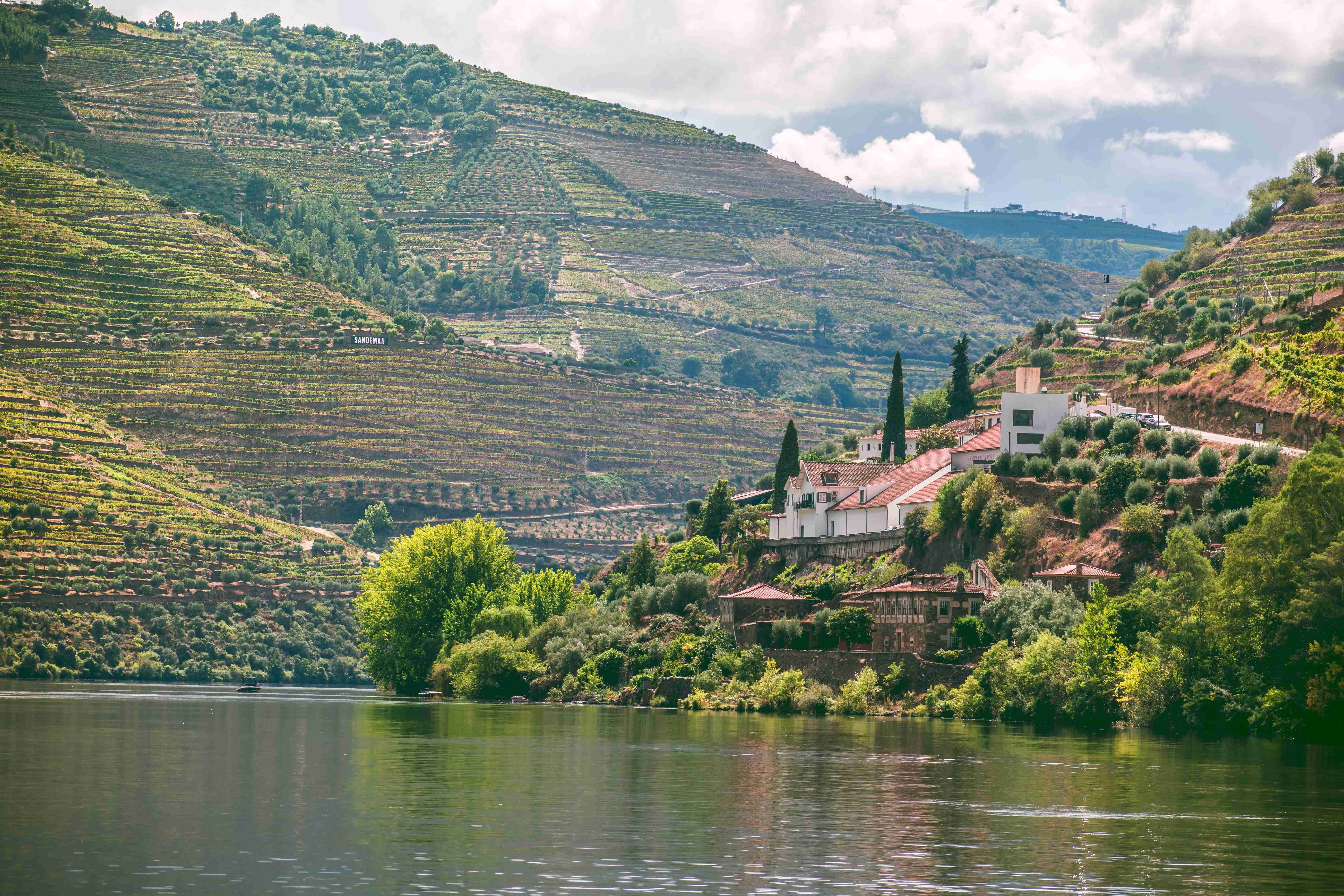 Vignobles de la vallée du Douro Portugal