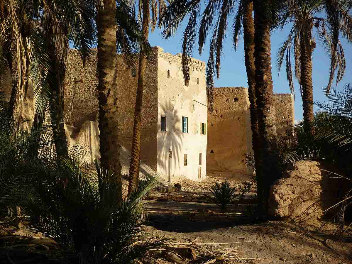 Ghadames Altstadt mit Palmenhain