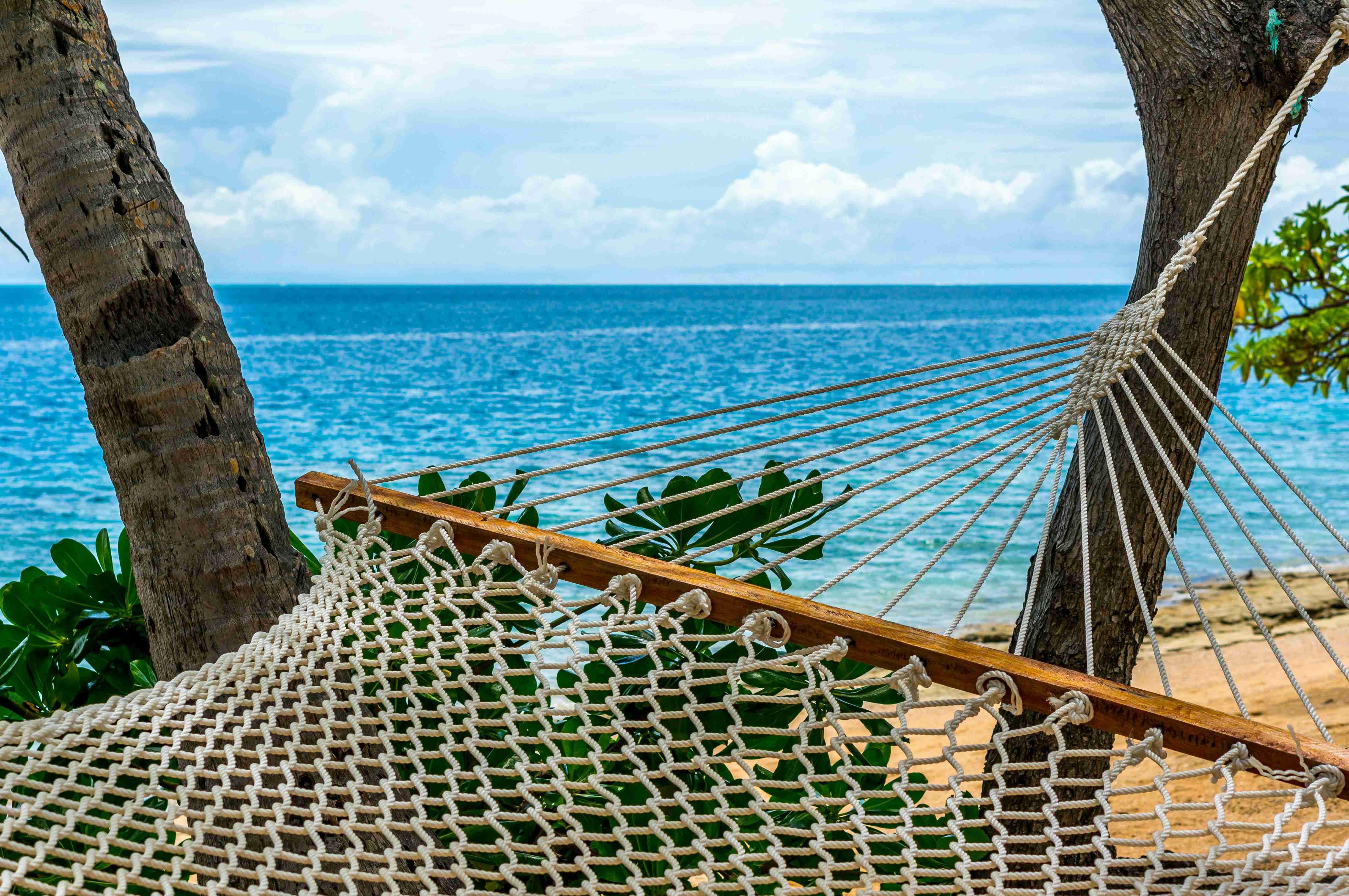 Hammock by the Tropical Beach