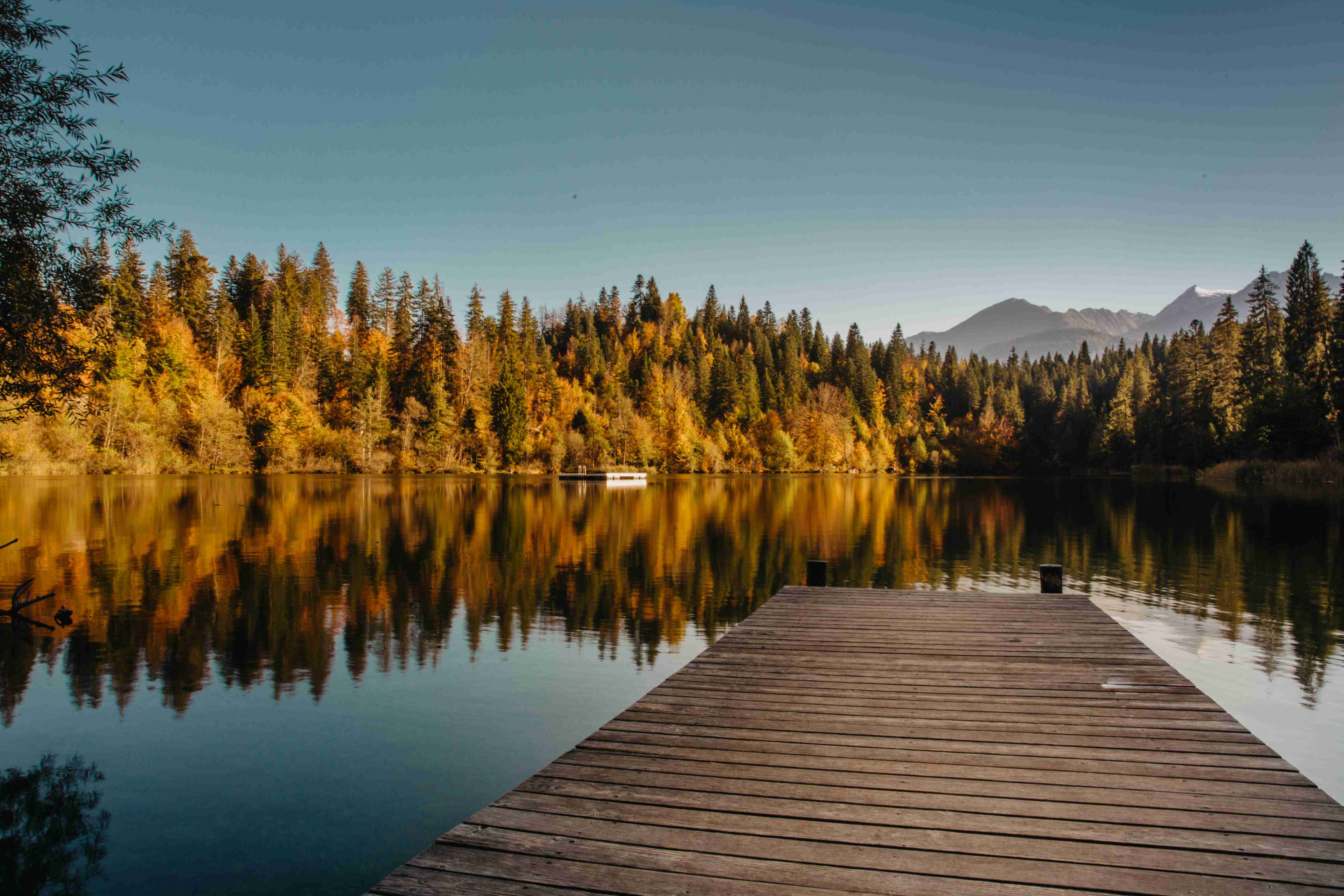 Lakefront View with Autumn Foliage
