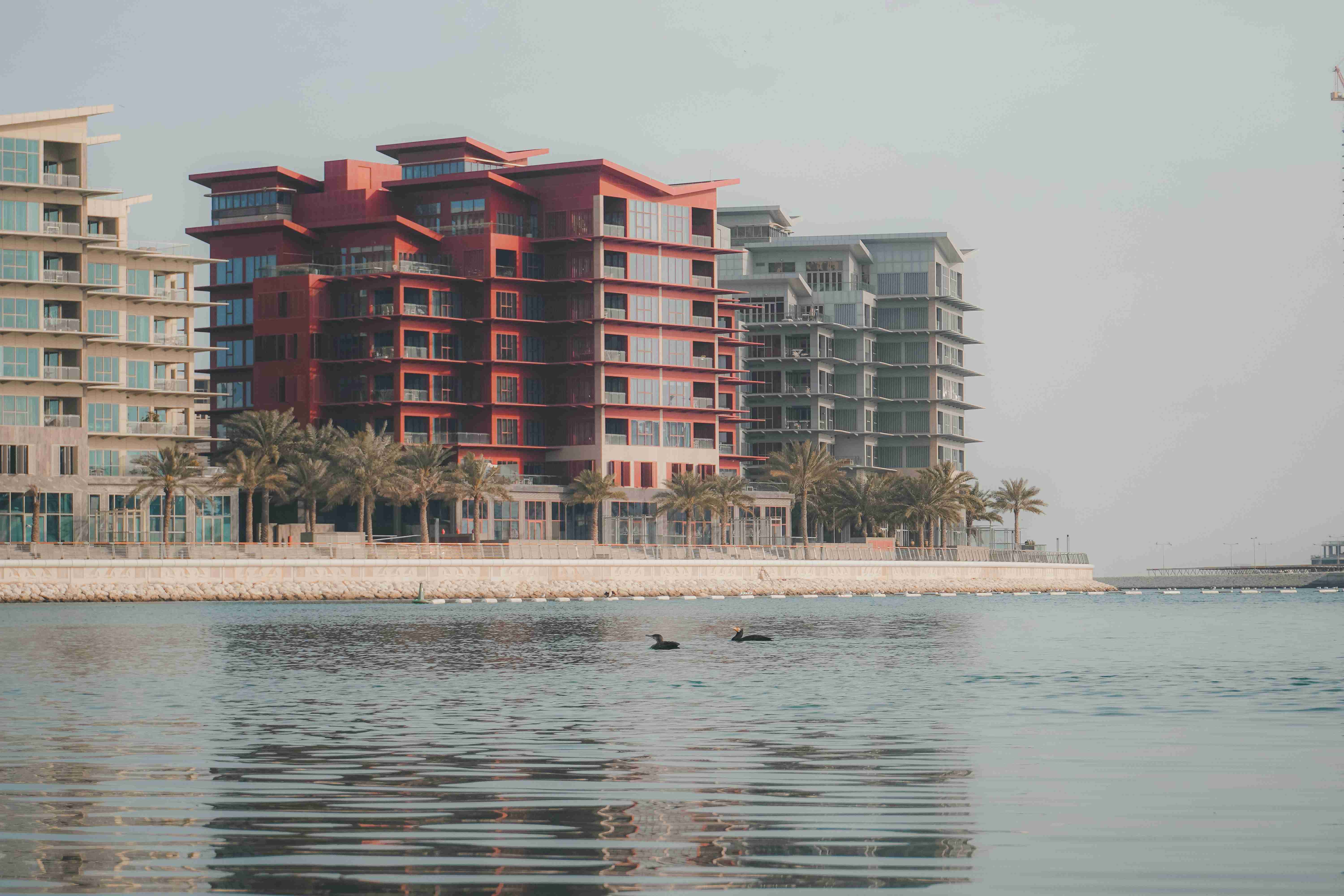 Modern Waterfront Architecture With Birds In Bahrain