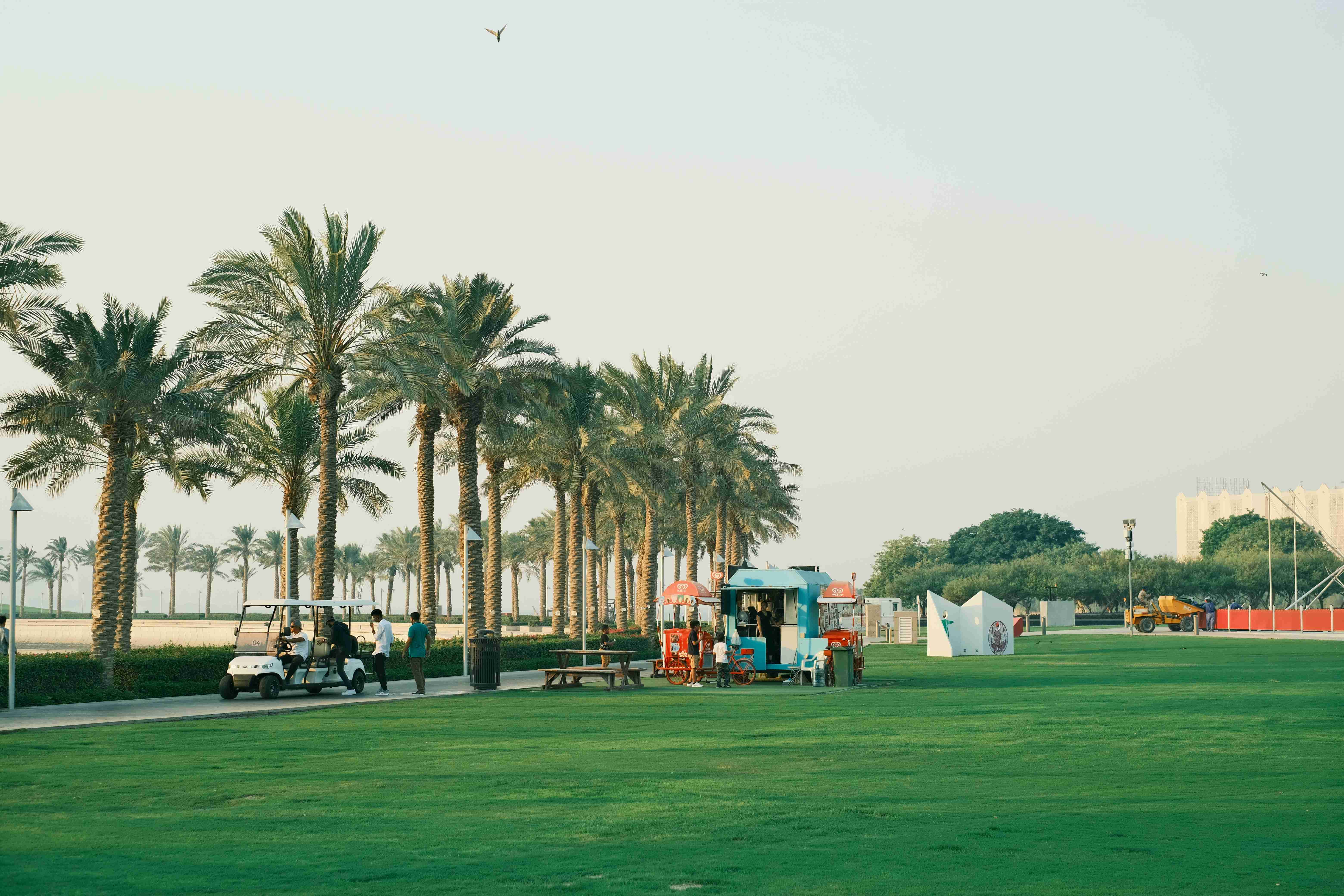 Renting a Car in Qatar