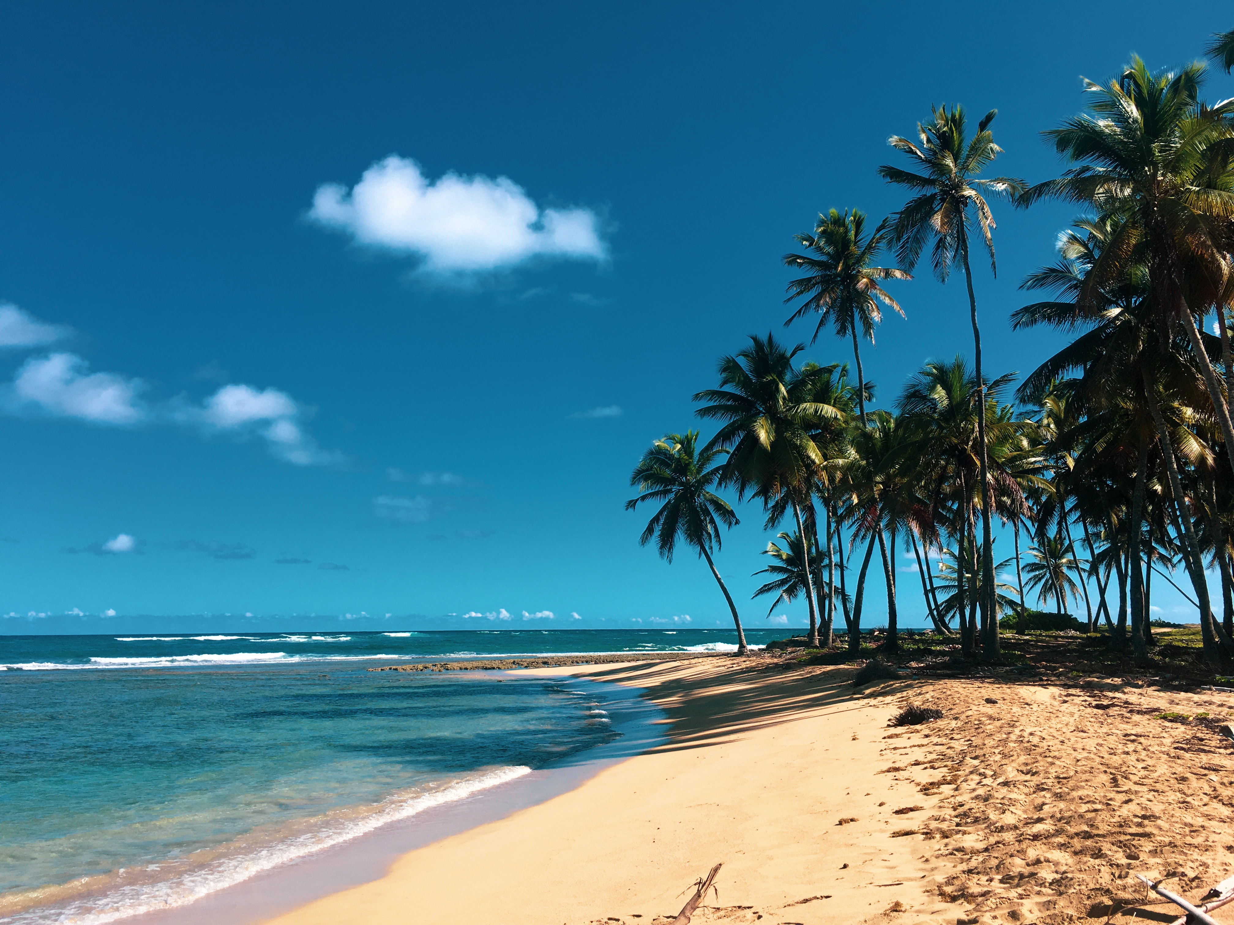 Dominican Republic Driving Guide