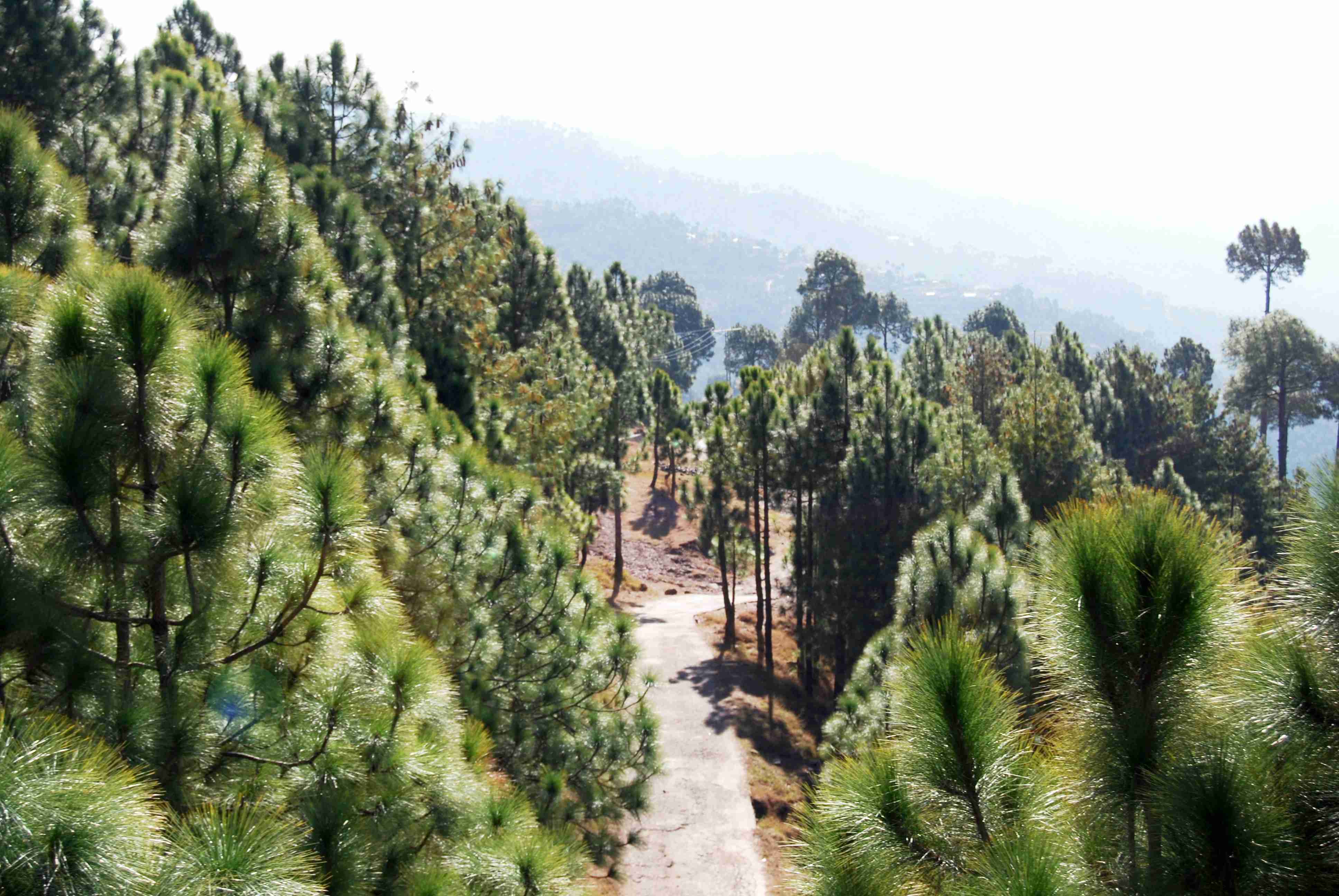 Requirements Before Traveling to Pakistan: Top 10 Must-Knows