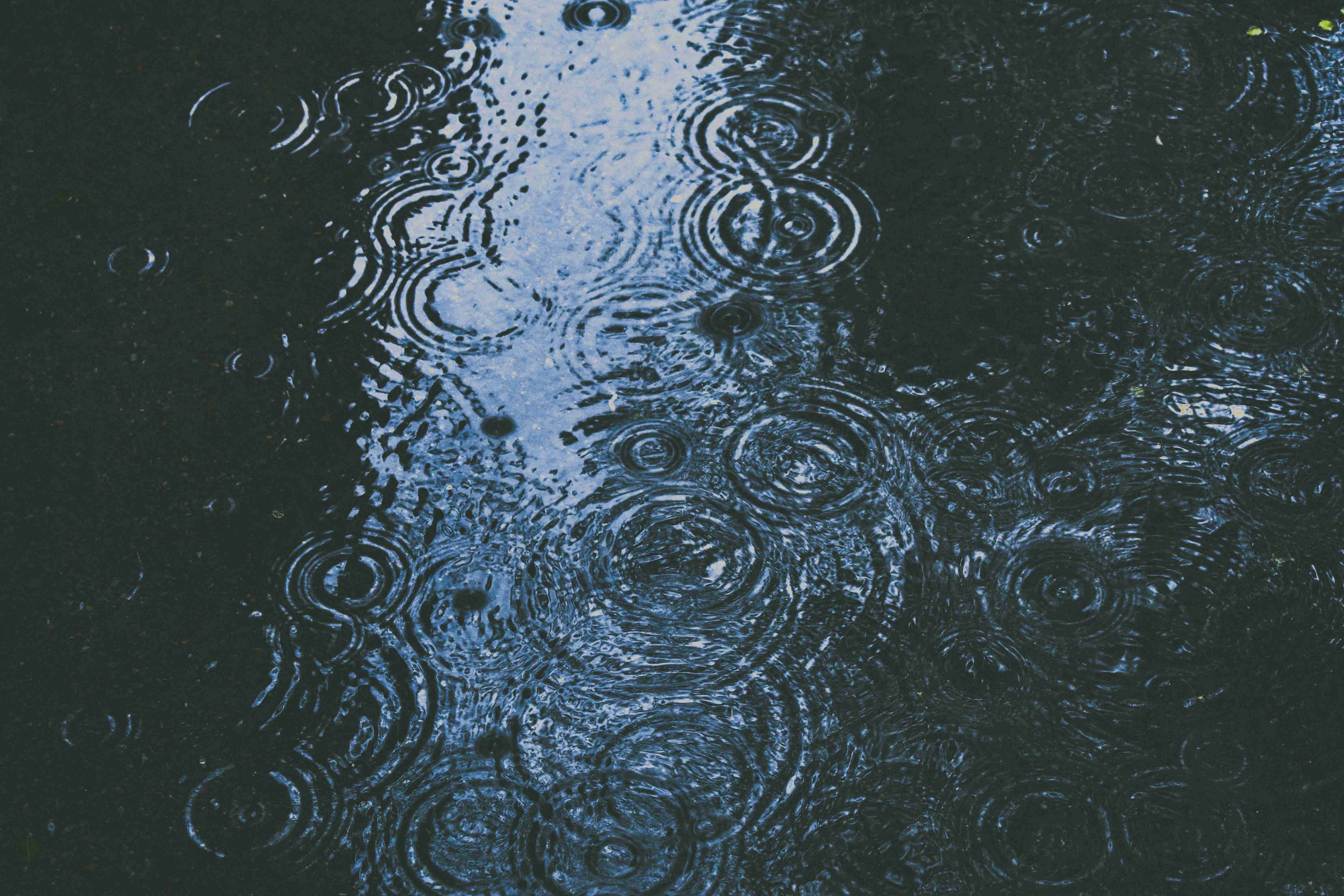 Raindrop Ripples on Water Surface