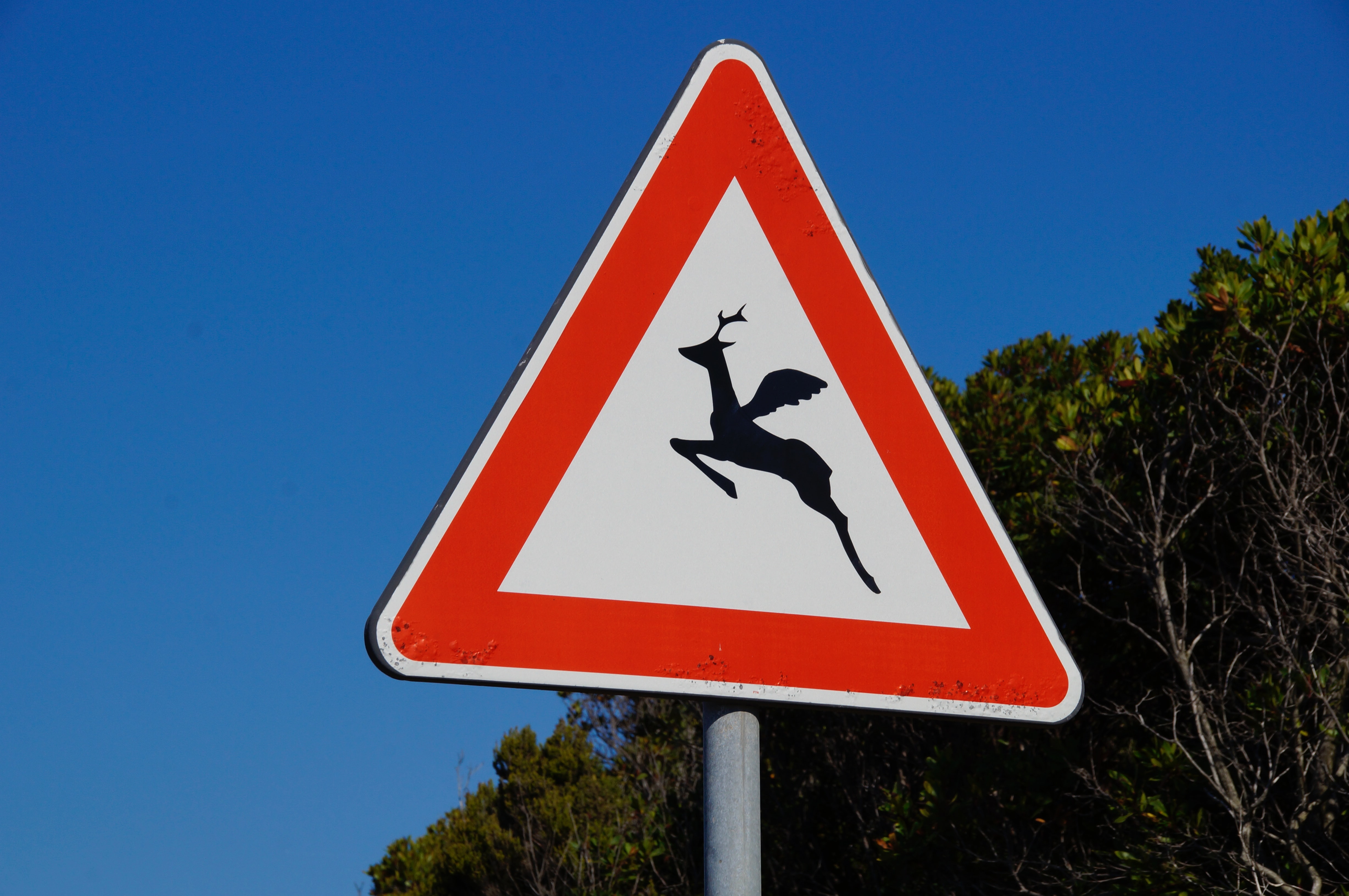 Drum-Reguli-Guatemala-Jürgen-Scheeff