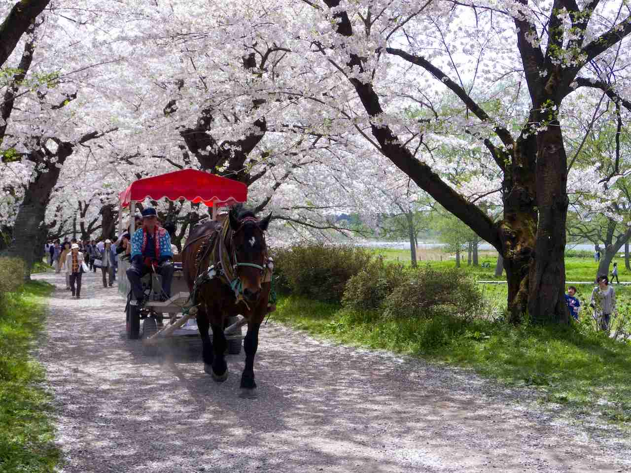 北上展勝地 (Parcul Kitakami Tensho-chi)