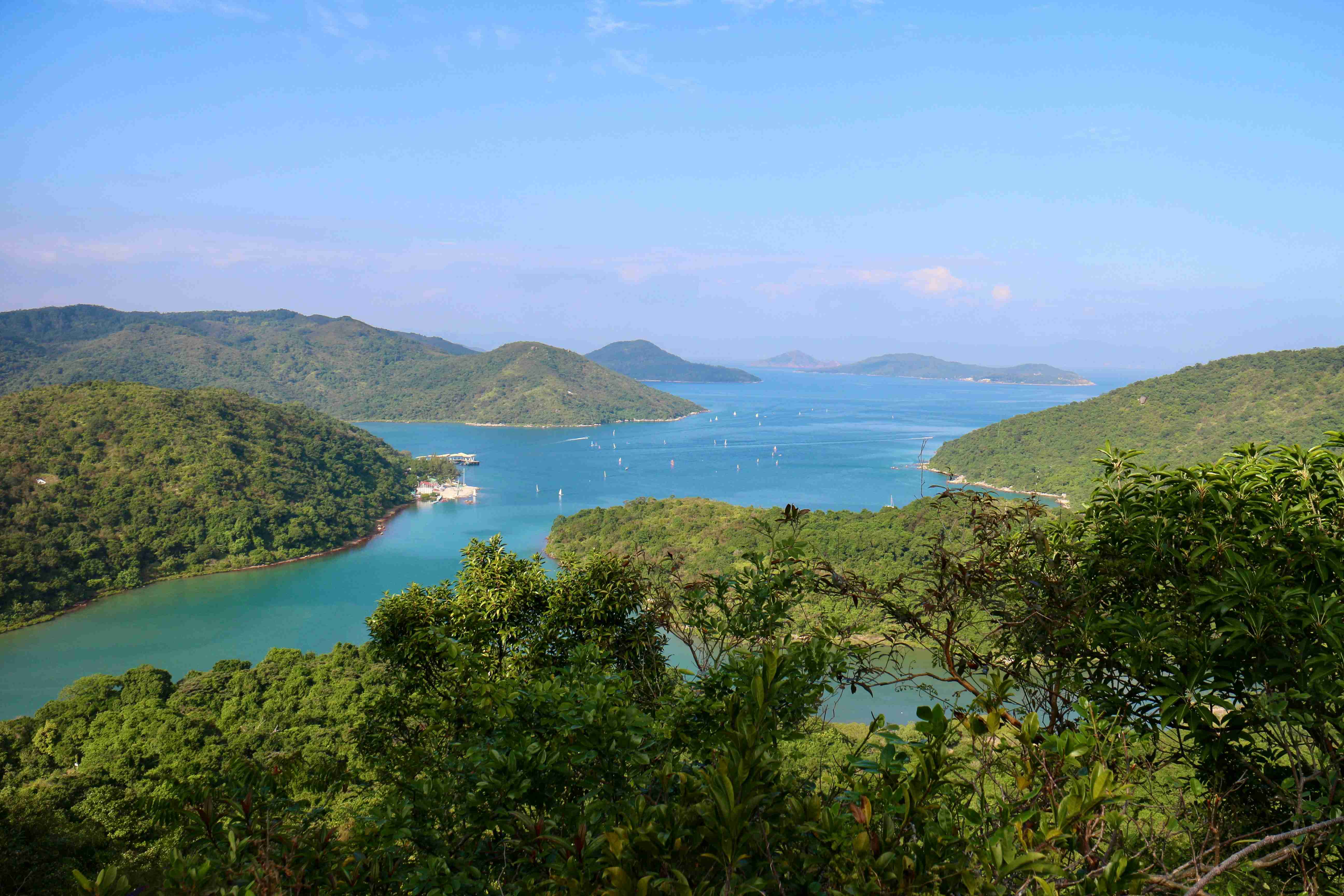 Scenic Ocean View from Tropical Hilltop