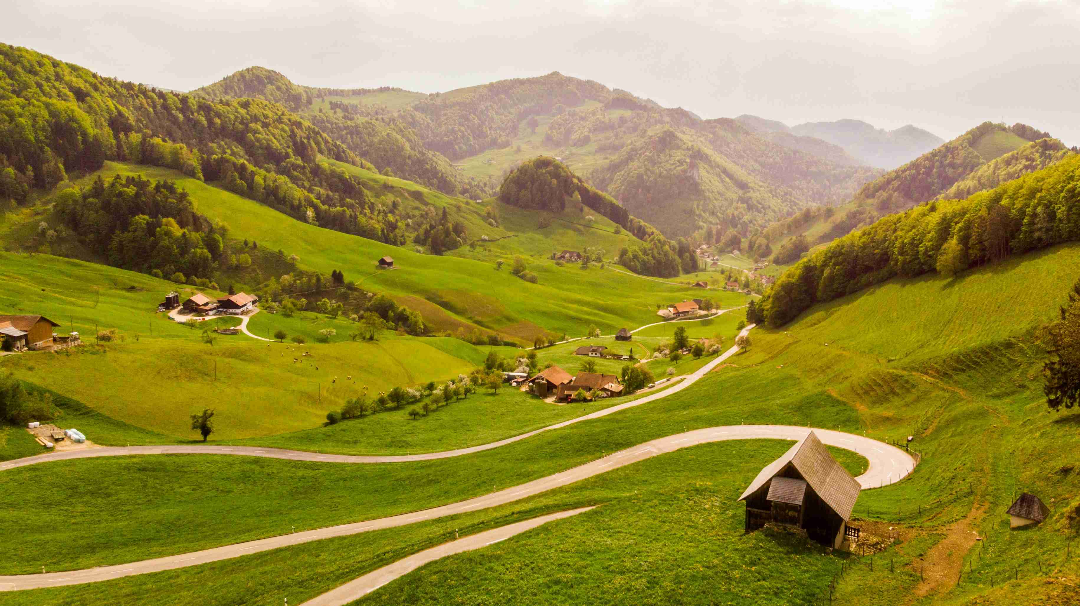 Serene Green Hills and Winding Road