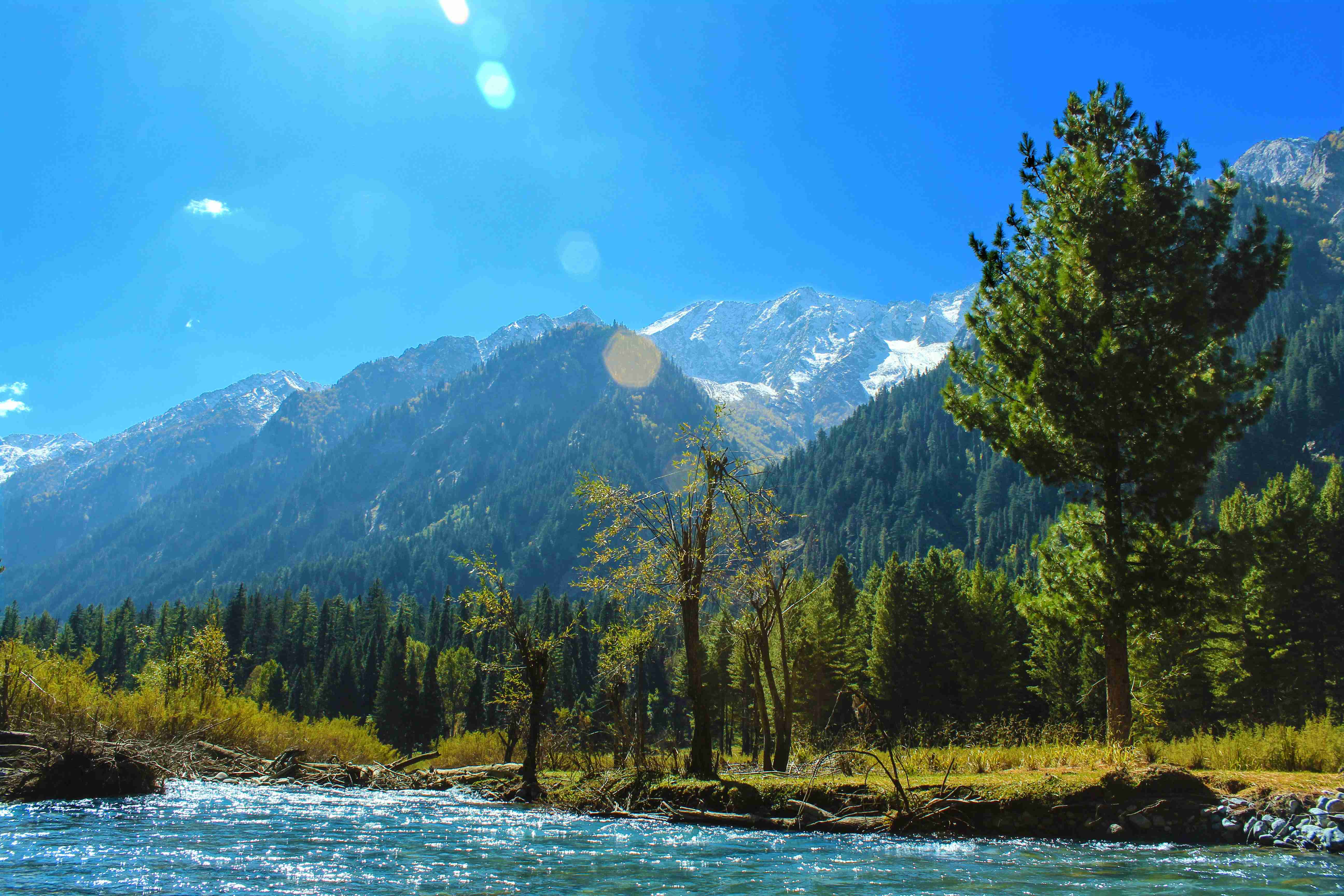 Serene River Flowing Through Forested Mountain Valley