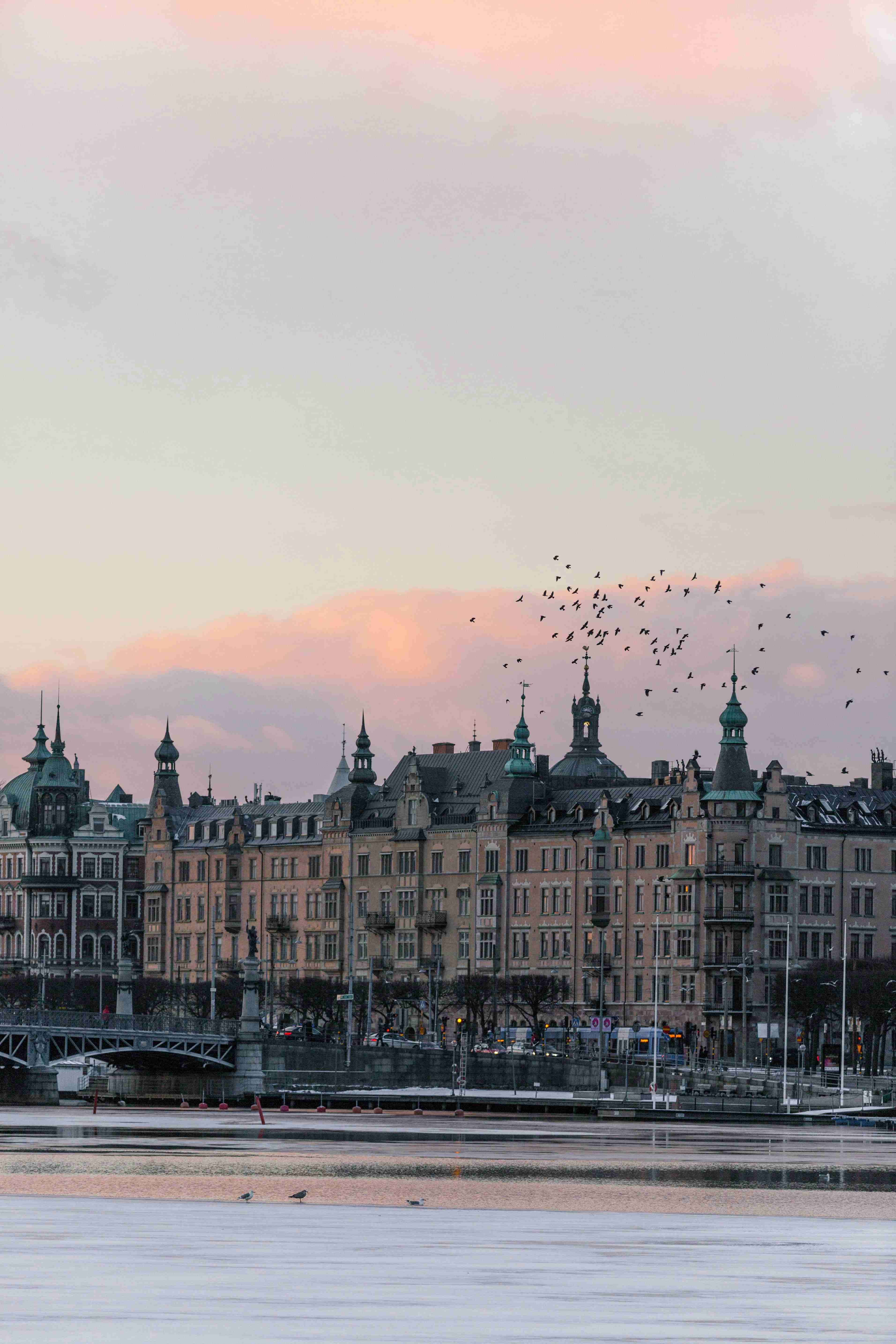 Stockholm Winter Sunset with Birds