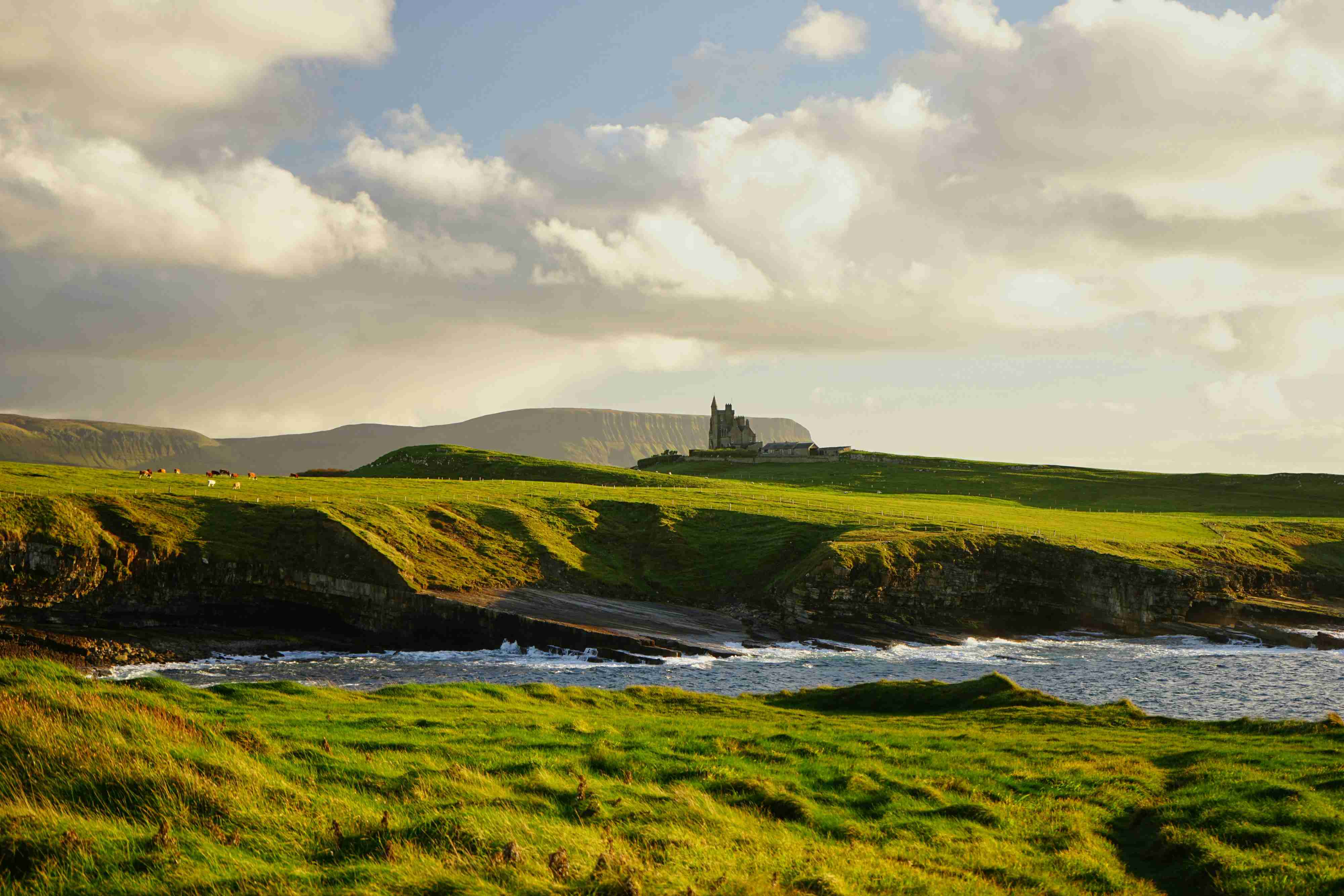 Sunlit Castle on Cliffside with Grazing Sheep