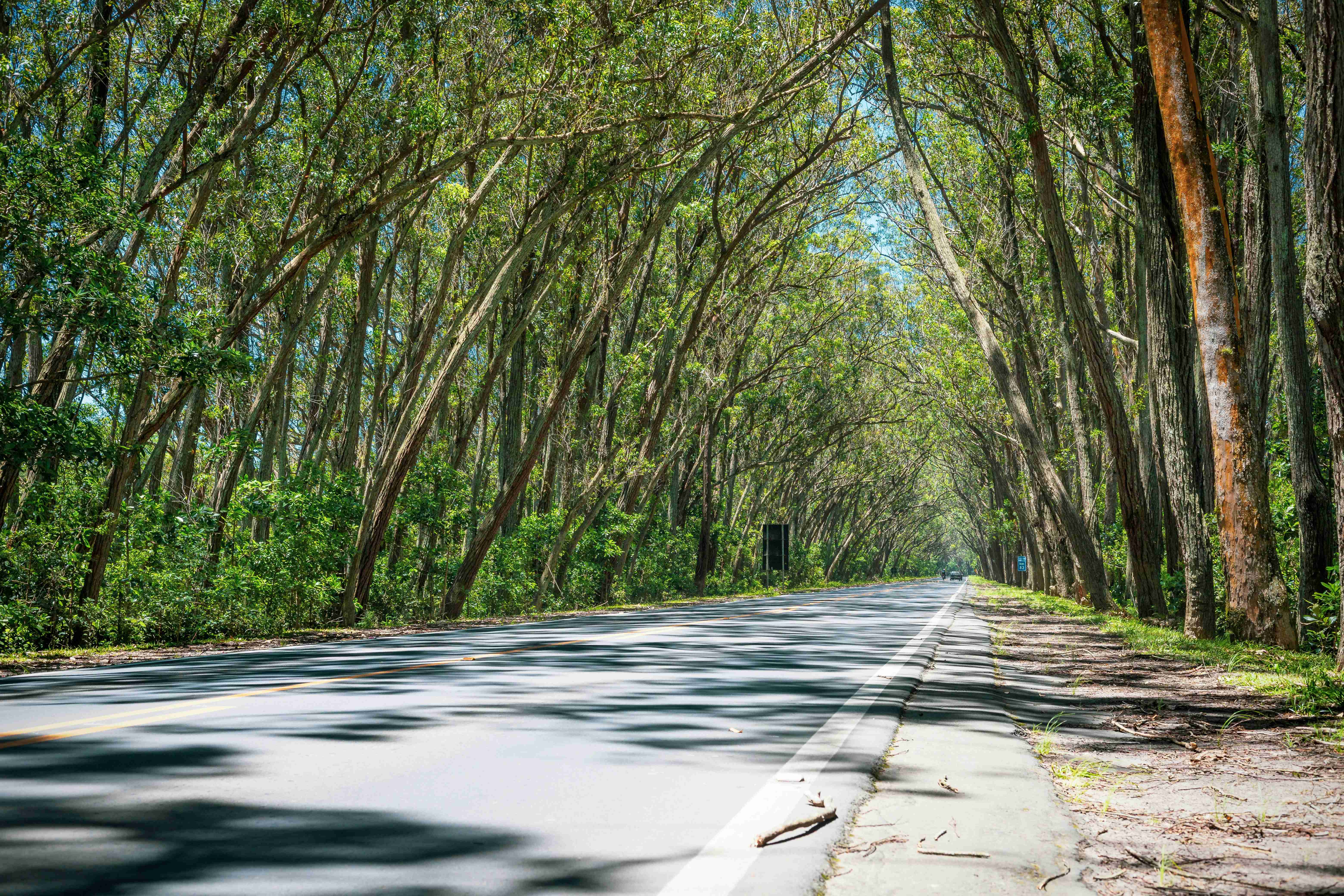 Best Car Insurance in Brazil: Top Choices