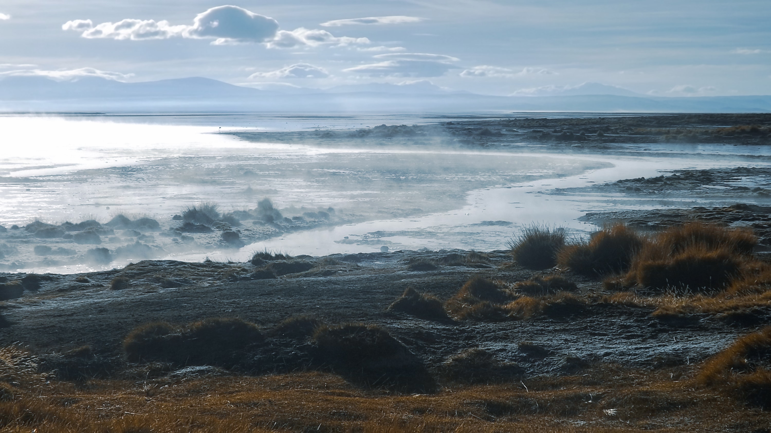 ซูเกร-วิลเลียน เรอิส