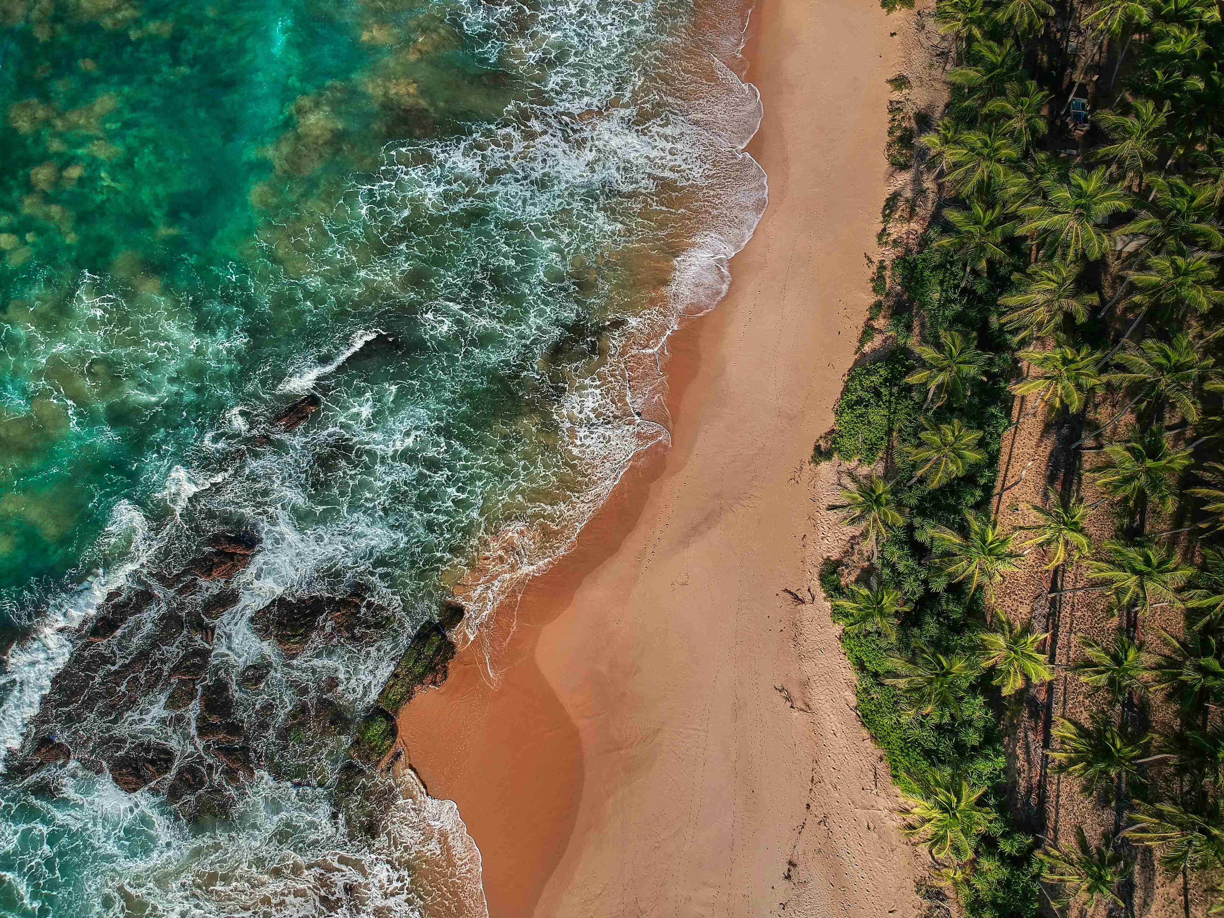 Tropical Beach Aerial View