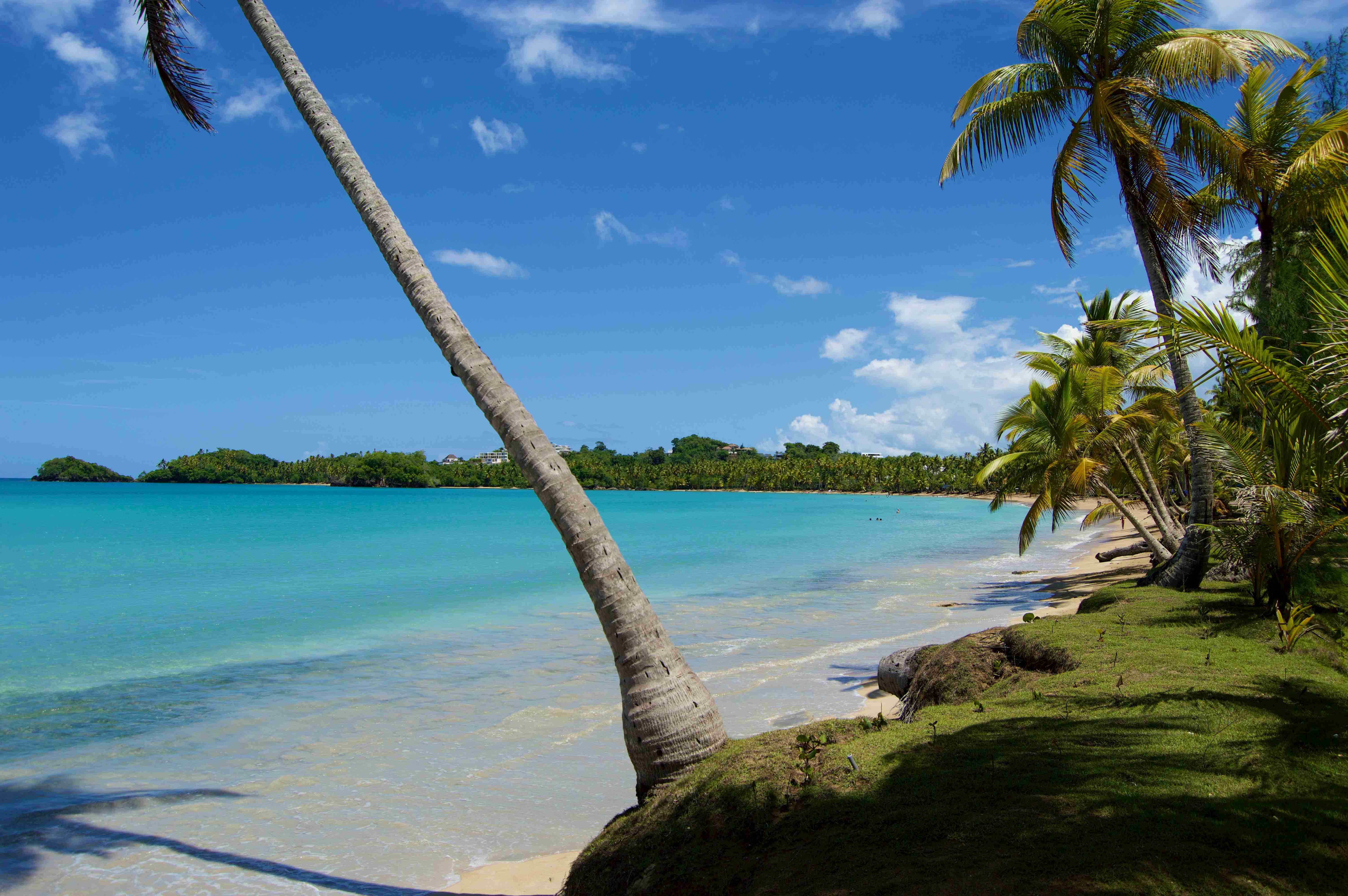 The Best Time and Ways to Explore the Vibrant Dominican Republic