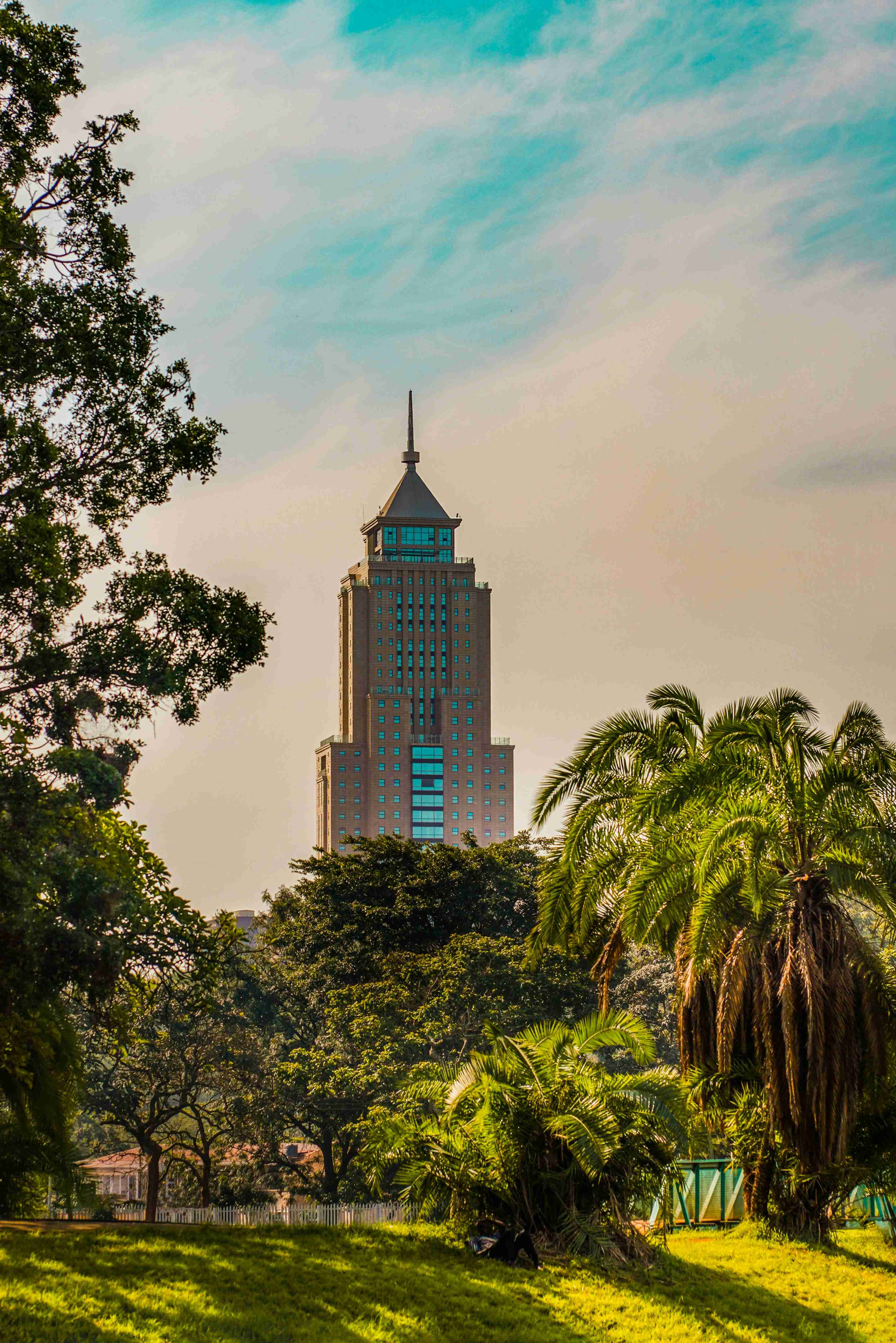 Tropical Cityscape with Skyscraper and Palm Trees