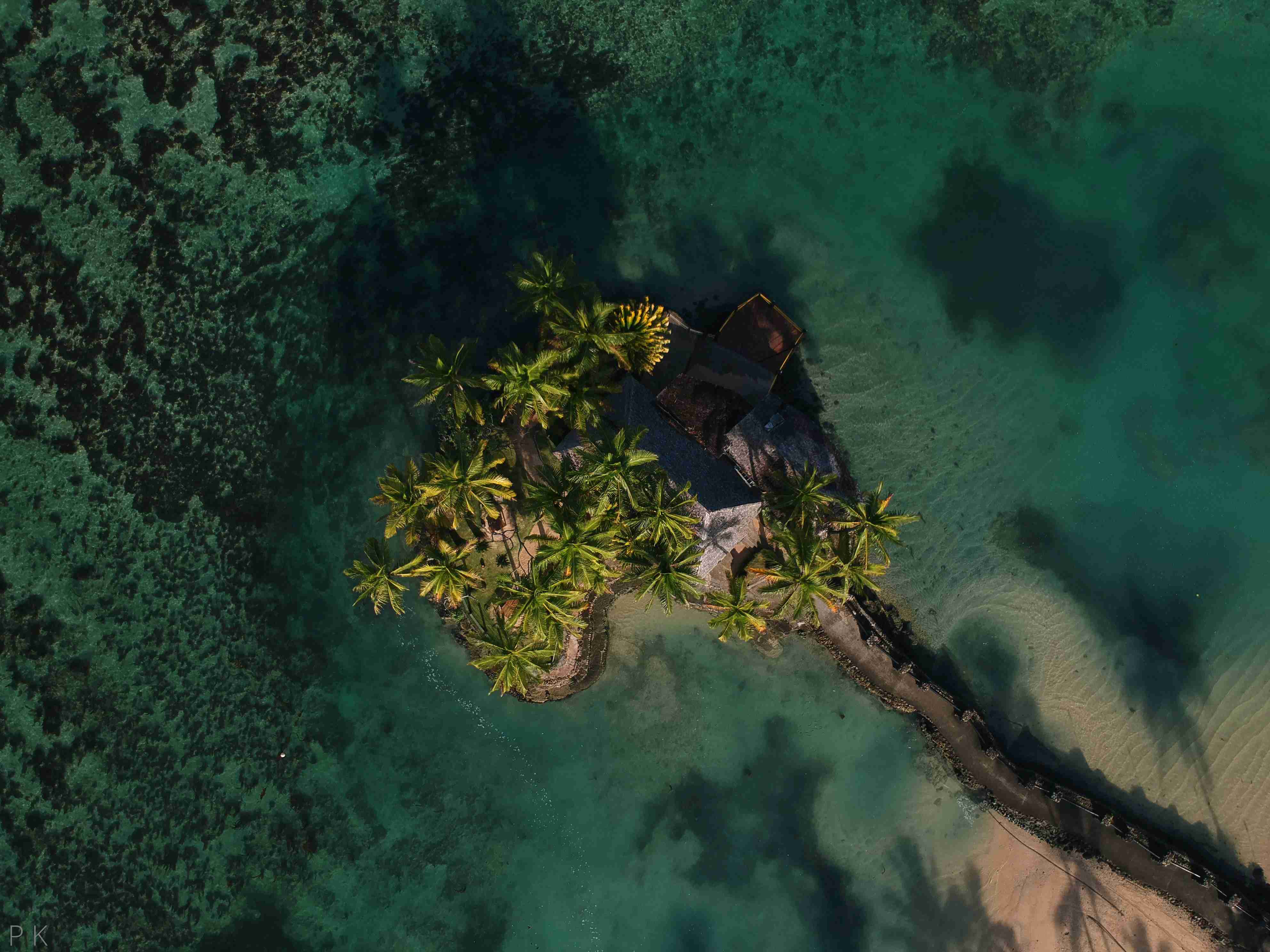 Tropical Island with Palm Trees Aerial View