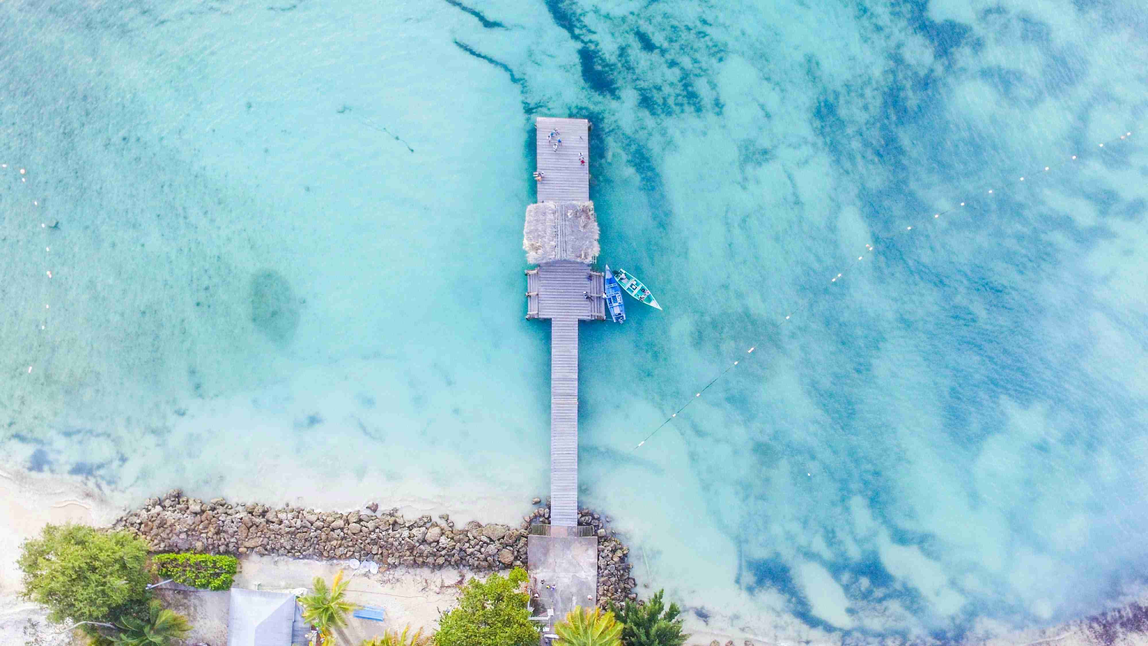 Best Time to Visit Trinidad and Tobago