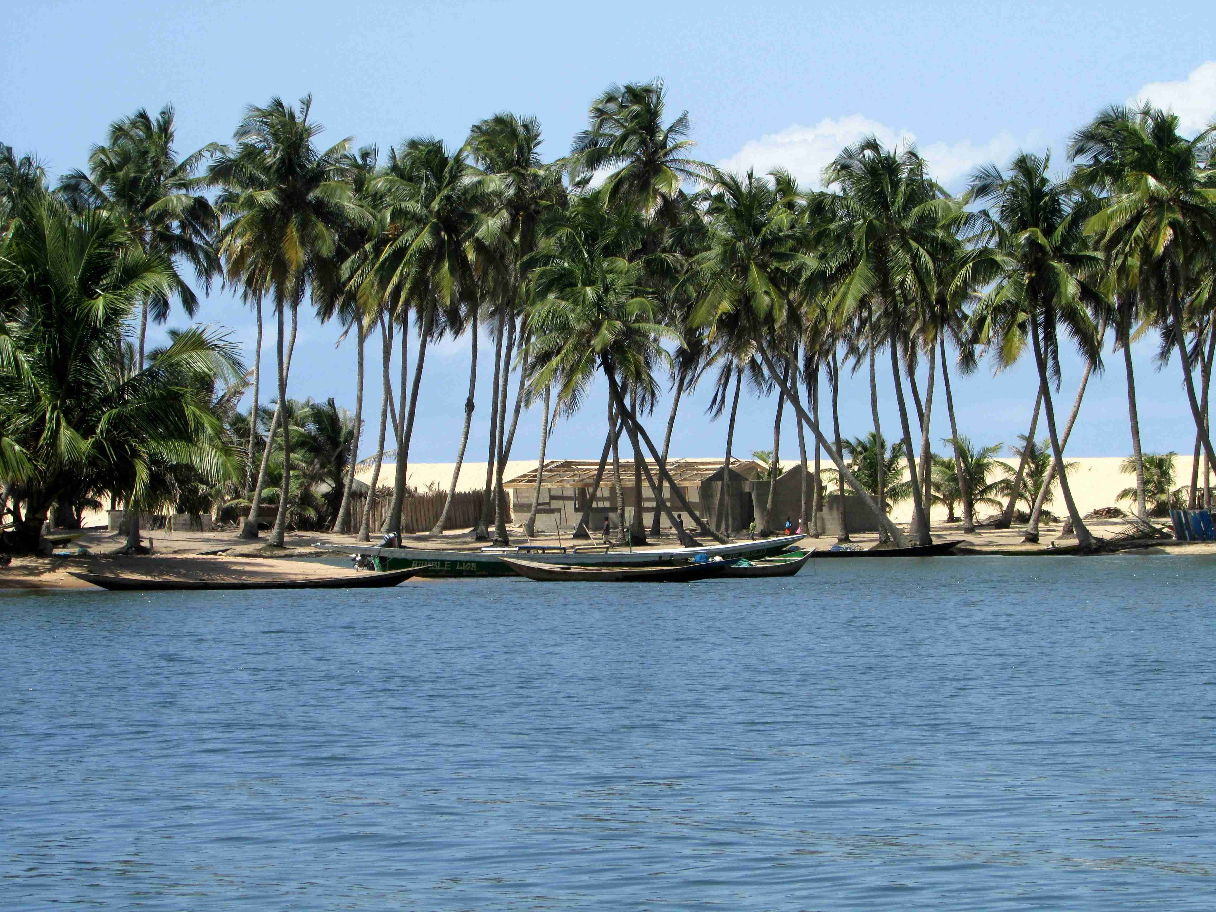 Tropický nábřeží s palmami a kánoemi
