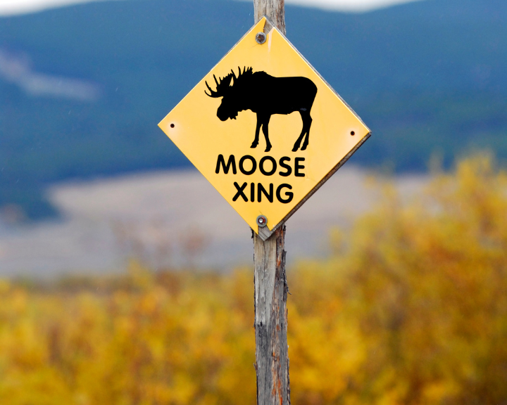 השלט של מעבר האיילים בקנדה