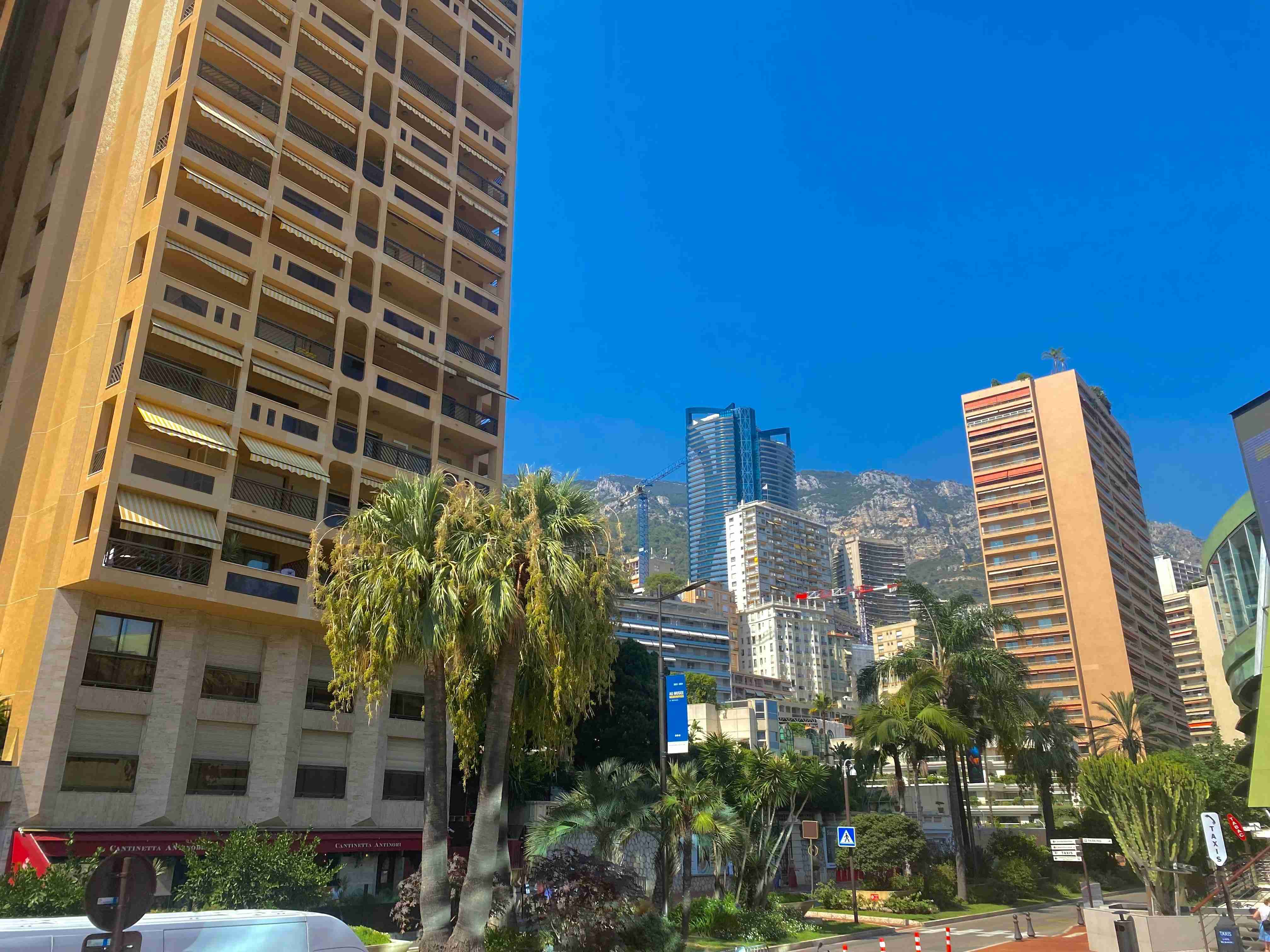 Urban Landscape with Skyscrapers and Palm Trees Against Mountain Backdrop