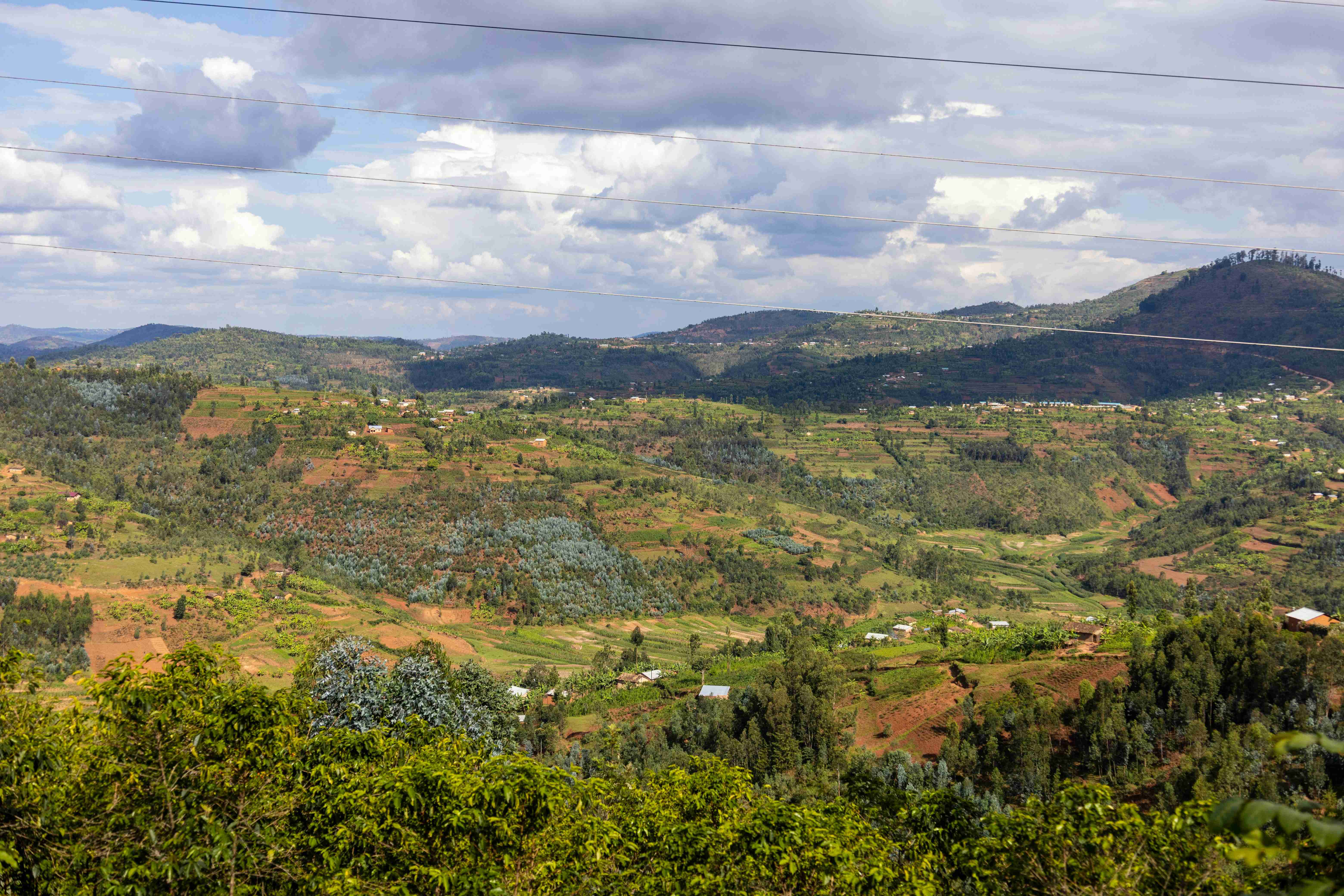 Verdant Hills and Valleys Agricultural Landscape