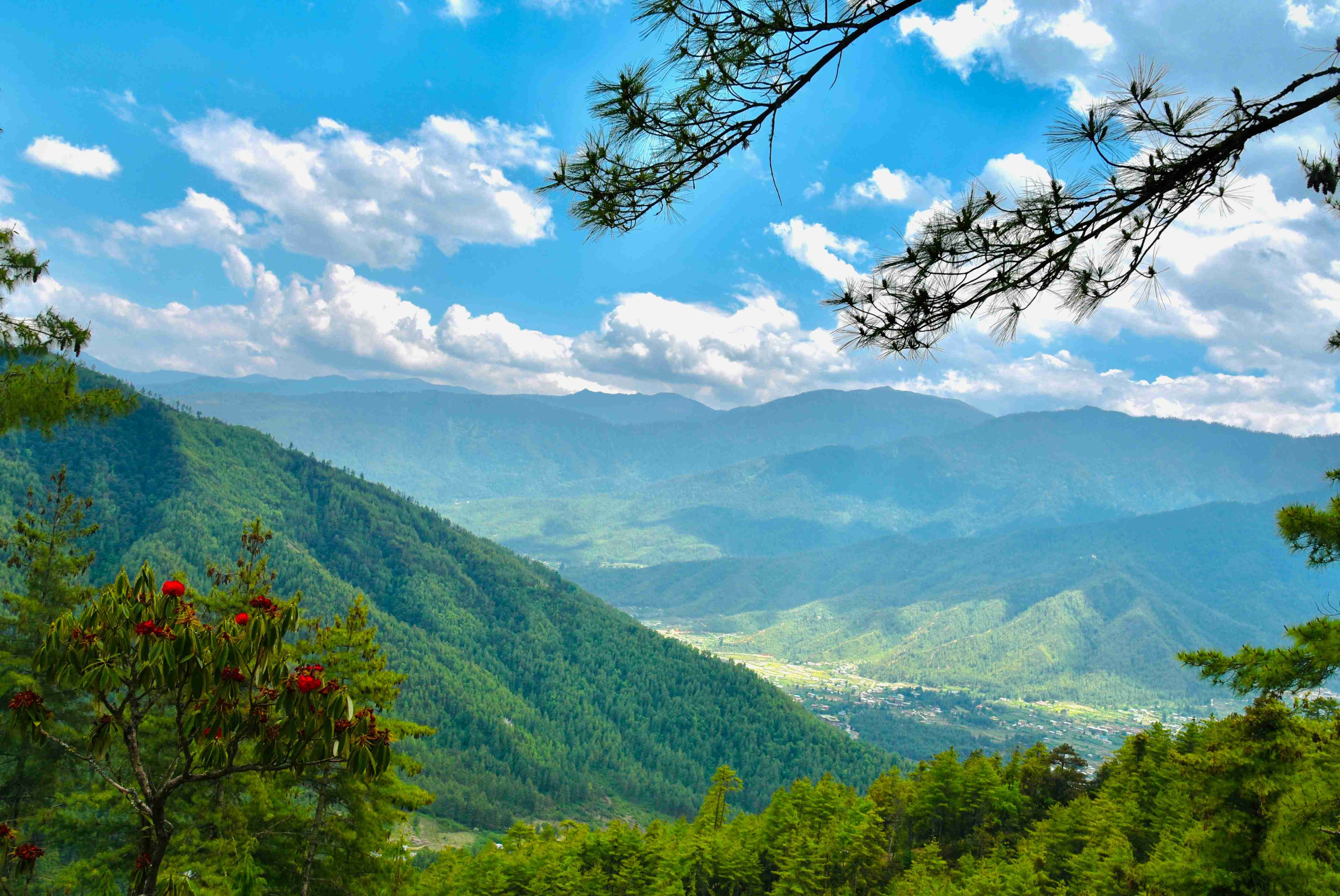Verdant Mountain Valley View