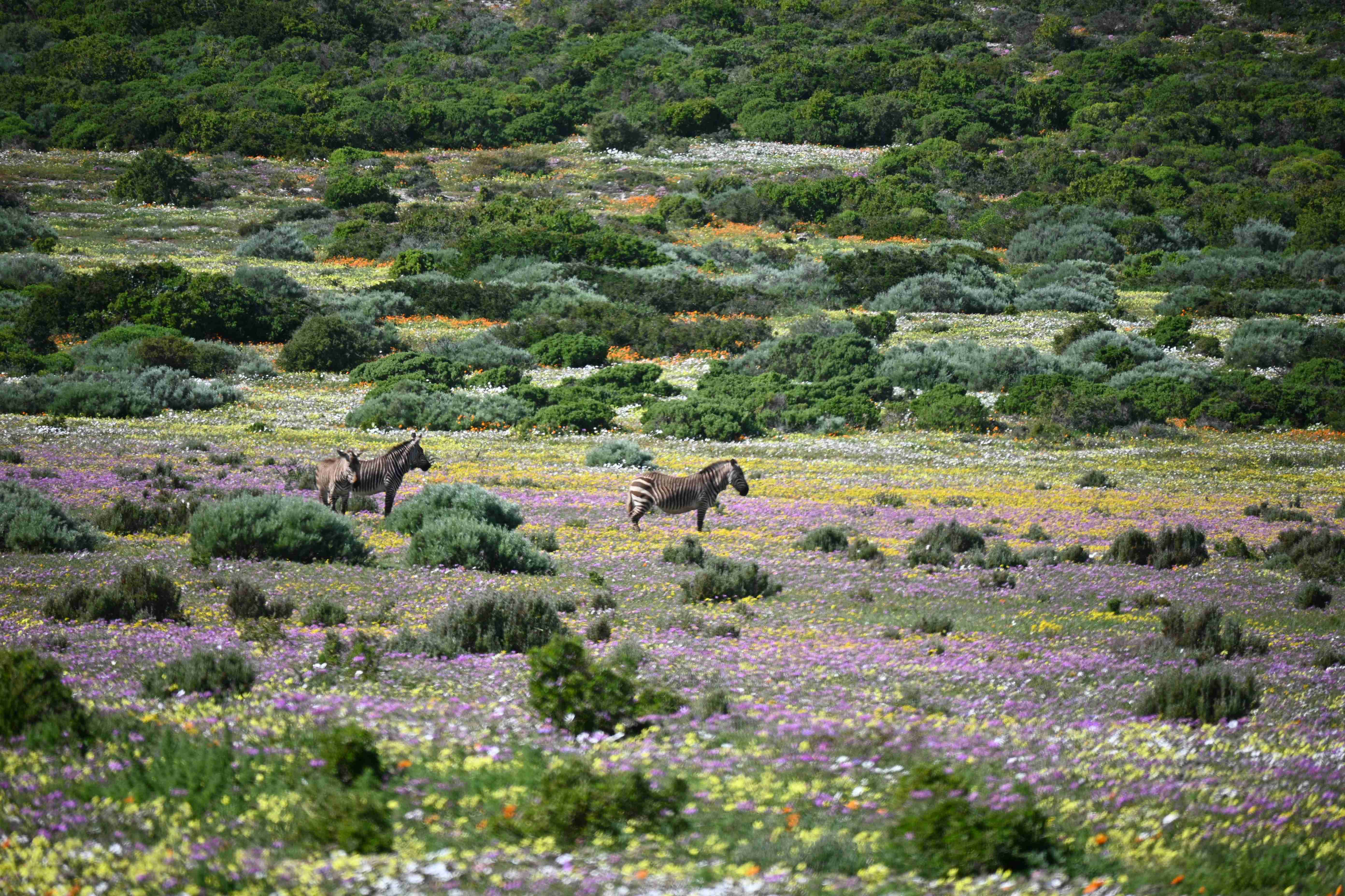 Best Places to Visit in South Africa