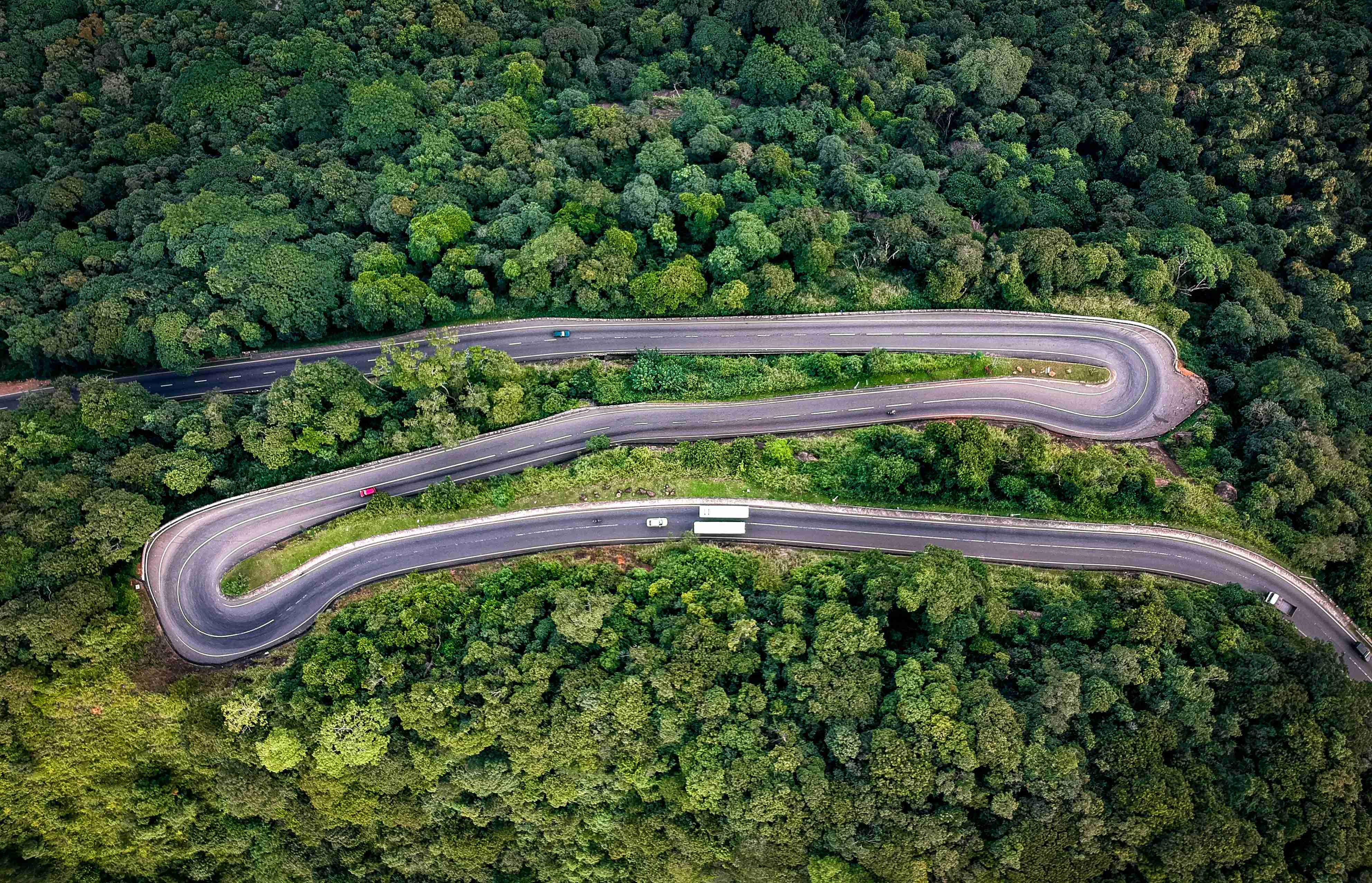 Winding Road Through Green Forest Aerial View