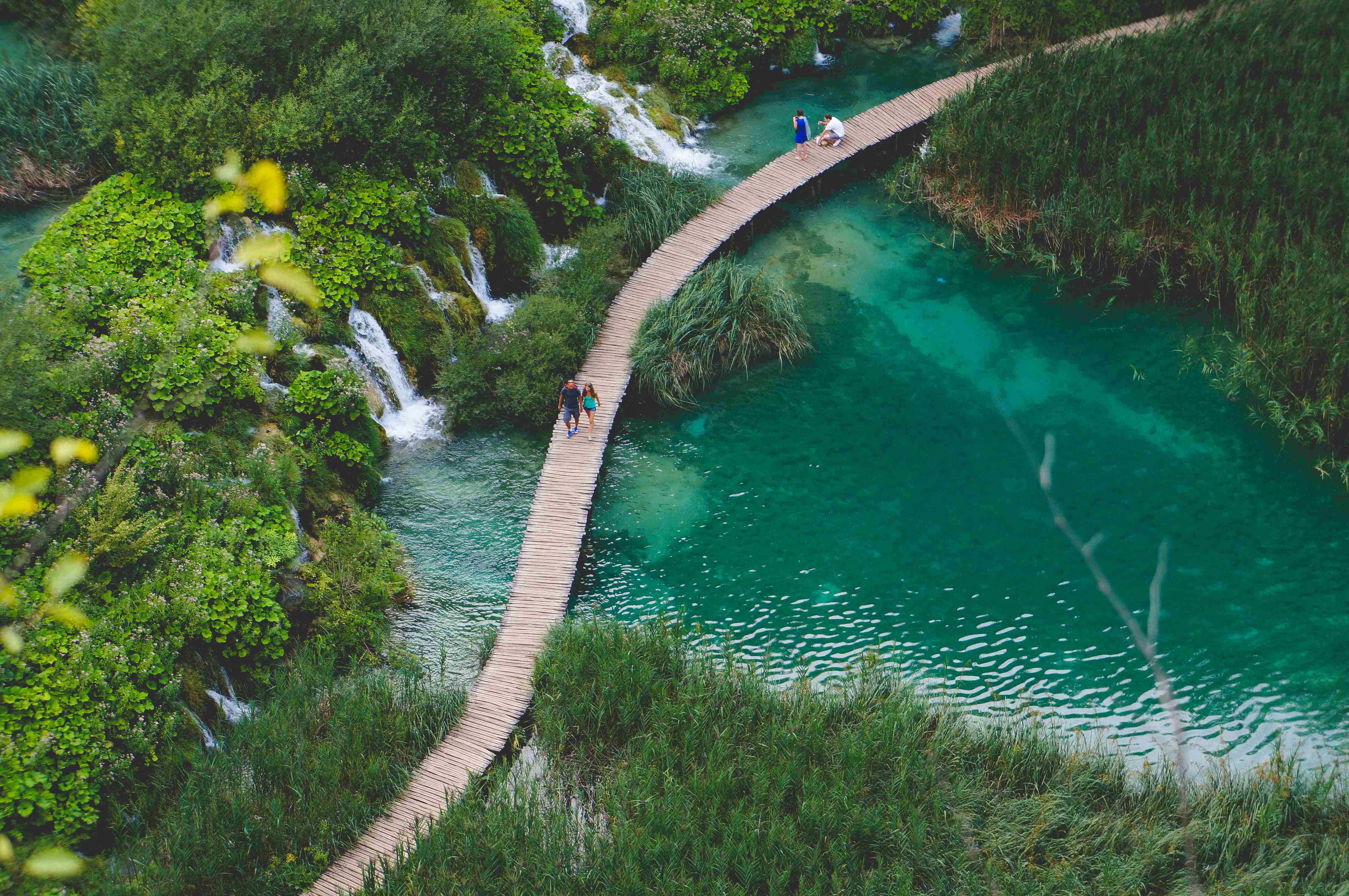 Winding Wooden Path Along Tranquil River