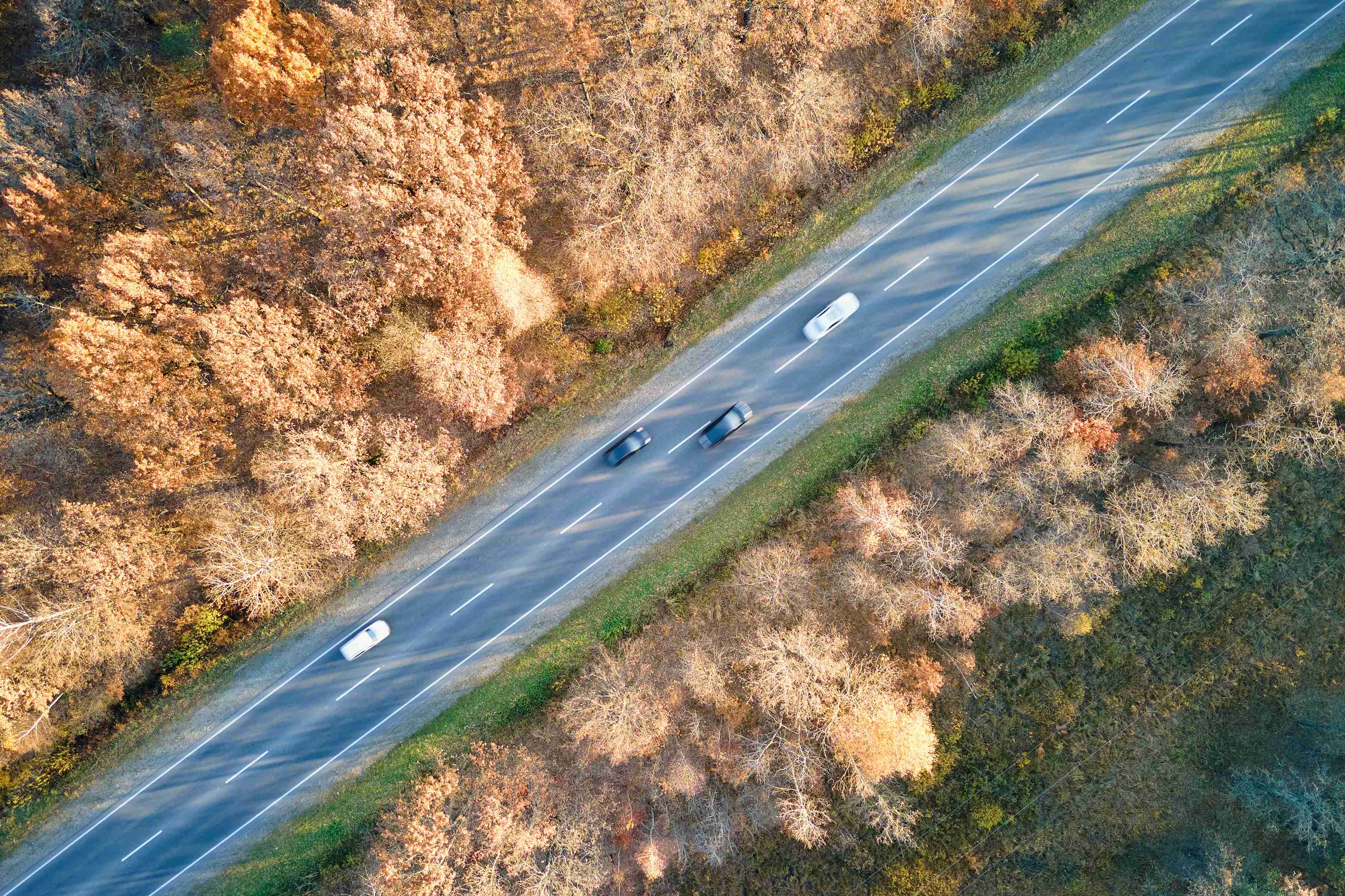 Vista aérea de la carretera interurbana con coches conduciendo rápido entre árboles de bosque otoñal al atardecer