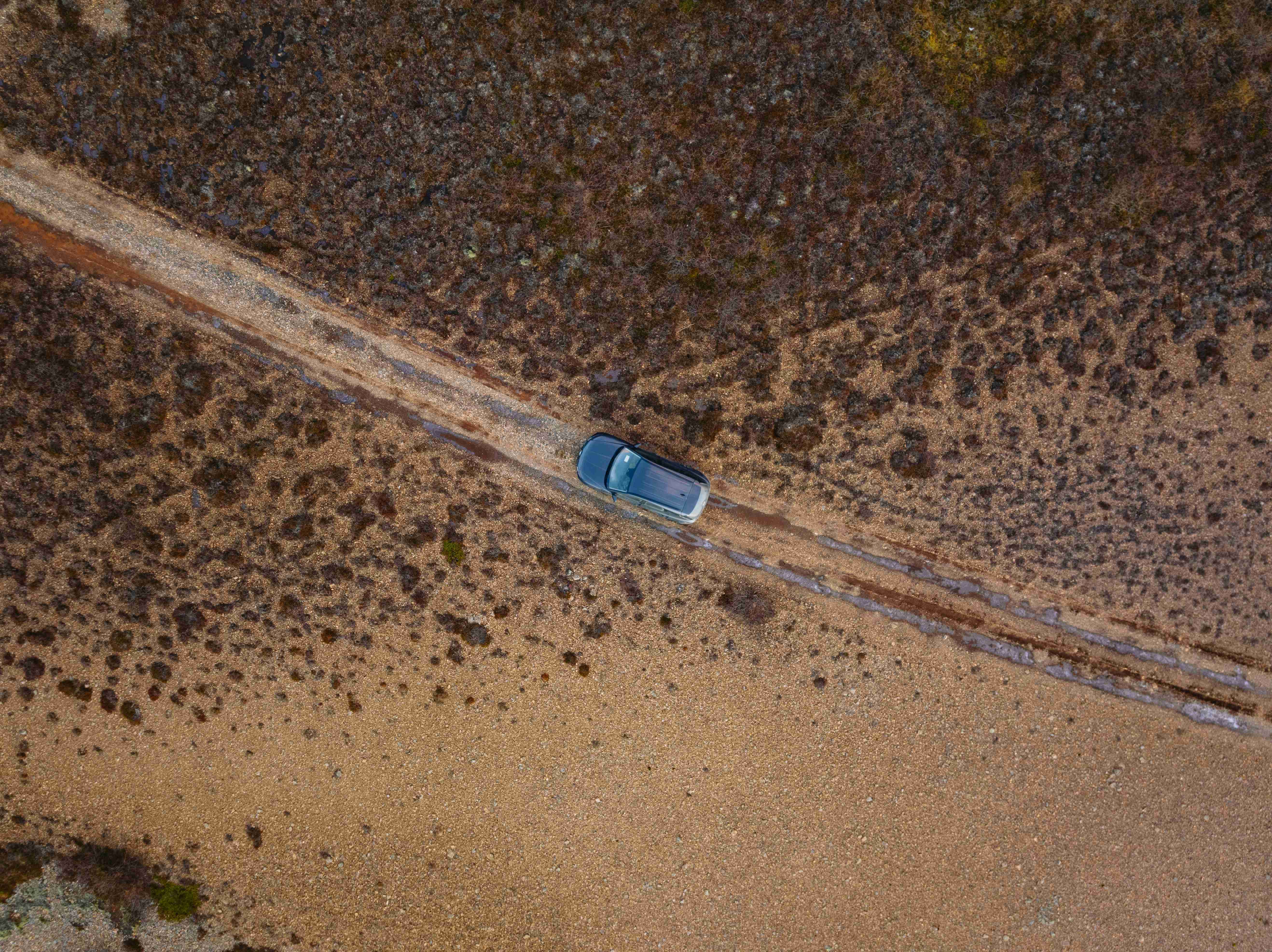 Best Car Rental In Aruba