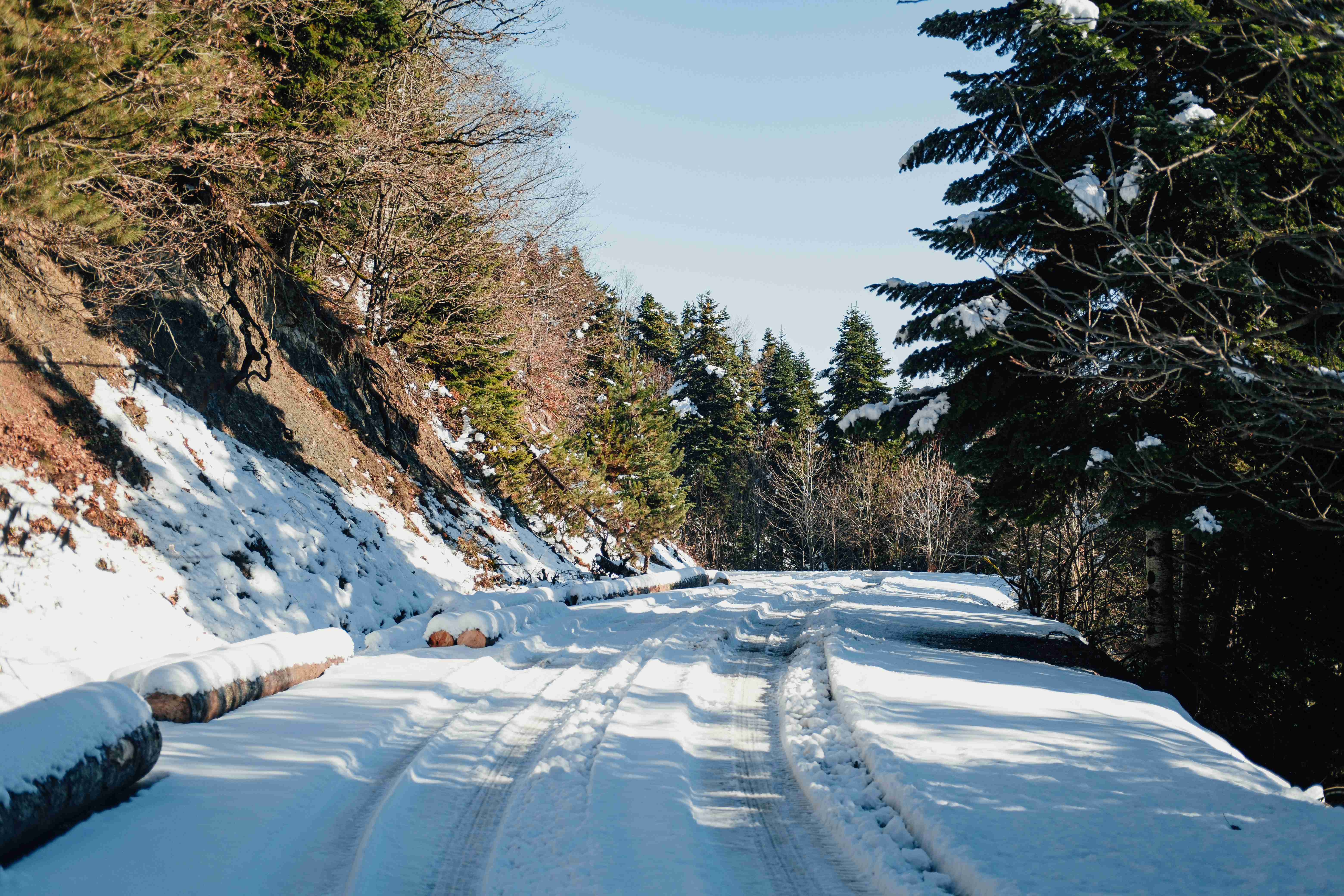 a-snow-covered-road-with-trees-on-both-side