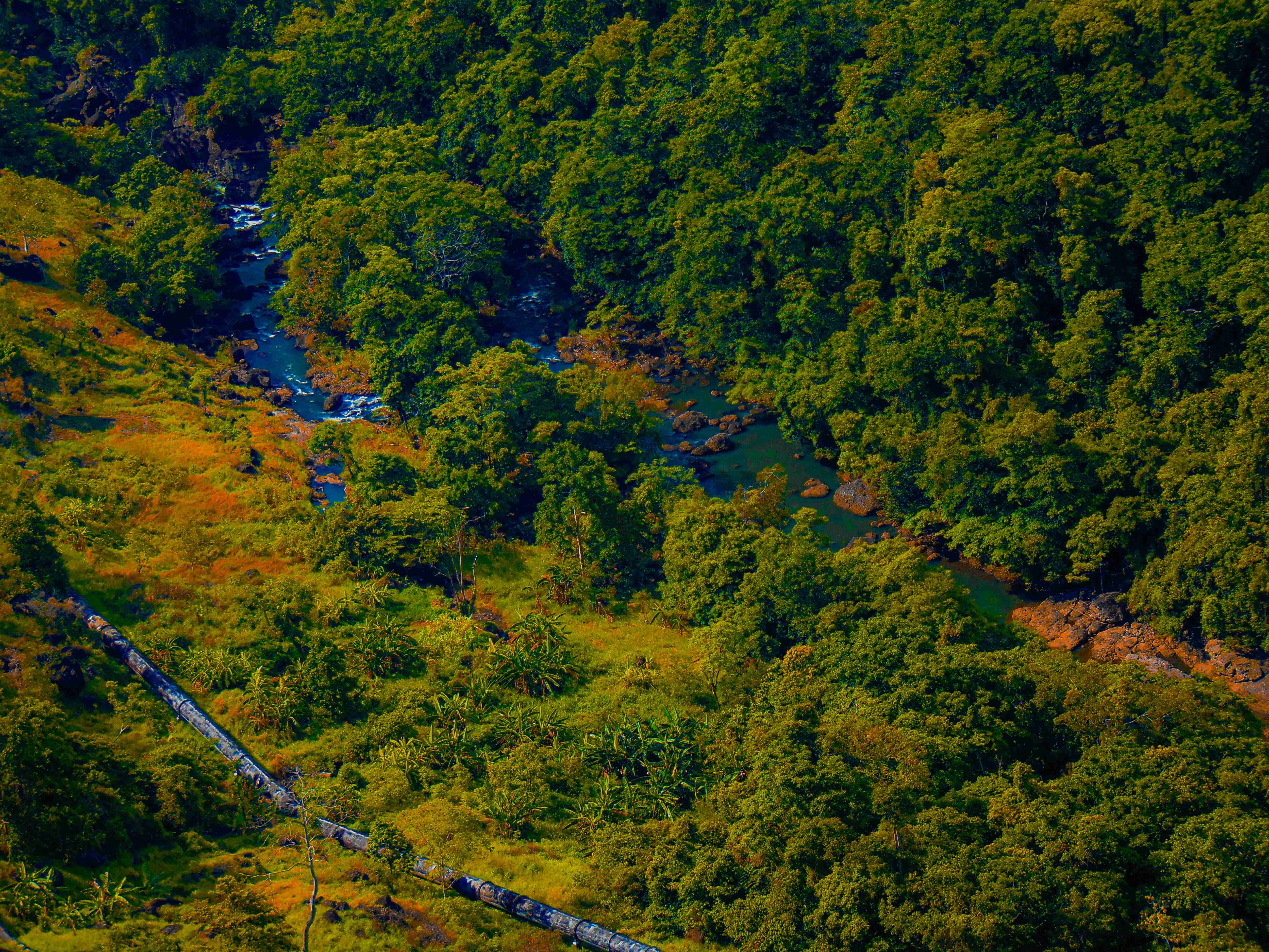 egy folyó, amely egy buja zöld erdőn keresztül folyik