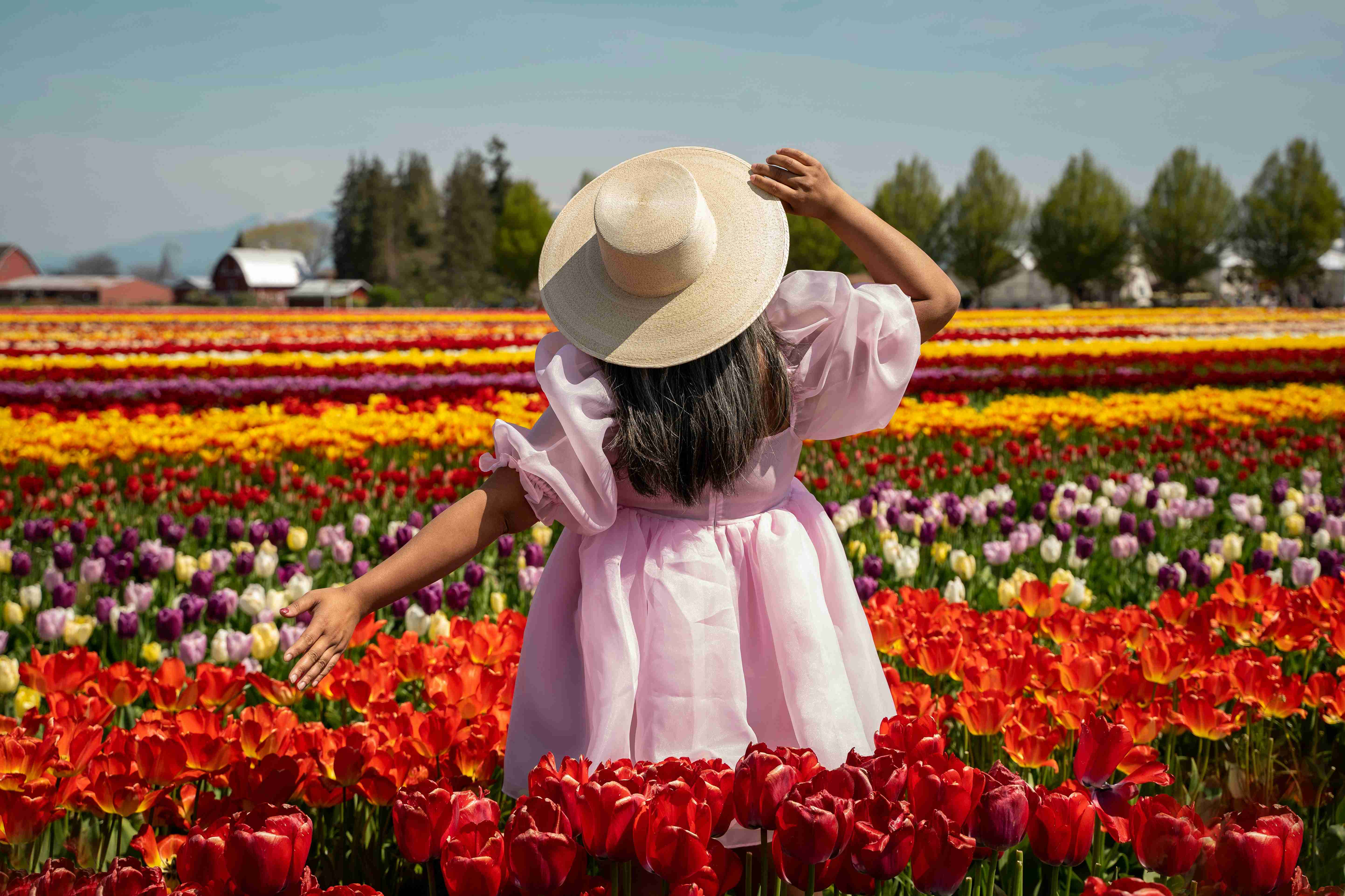 a-little-girl-standing-in-a-field-of-flowers