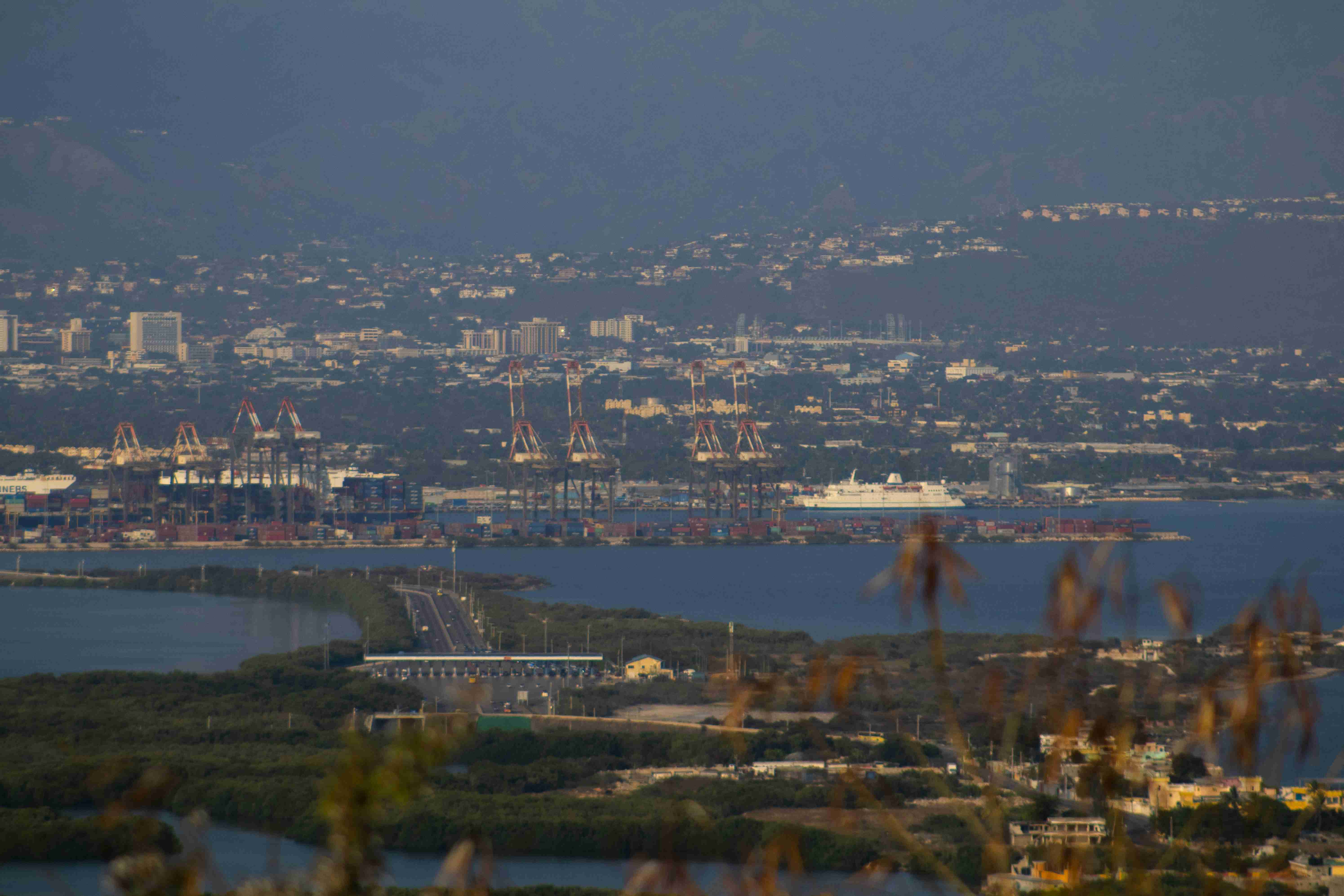 people walking on green grass field near body of water