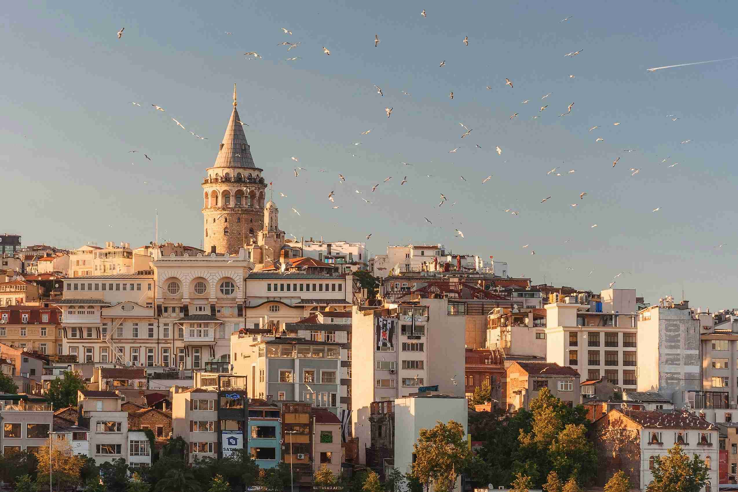 aerial-view-of-buildings-and-flying-birds