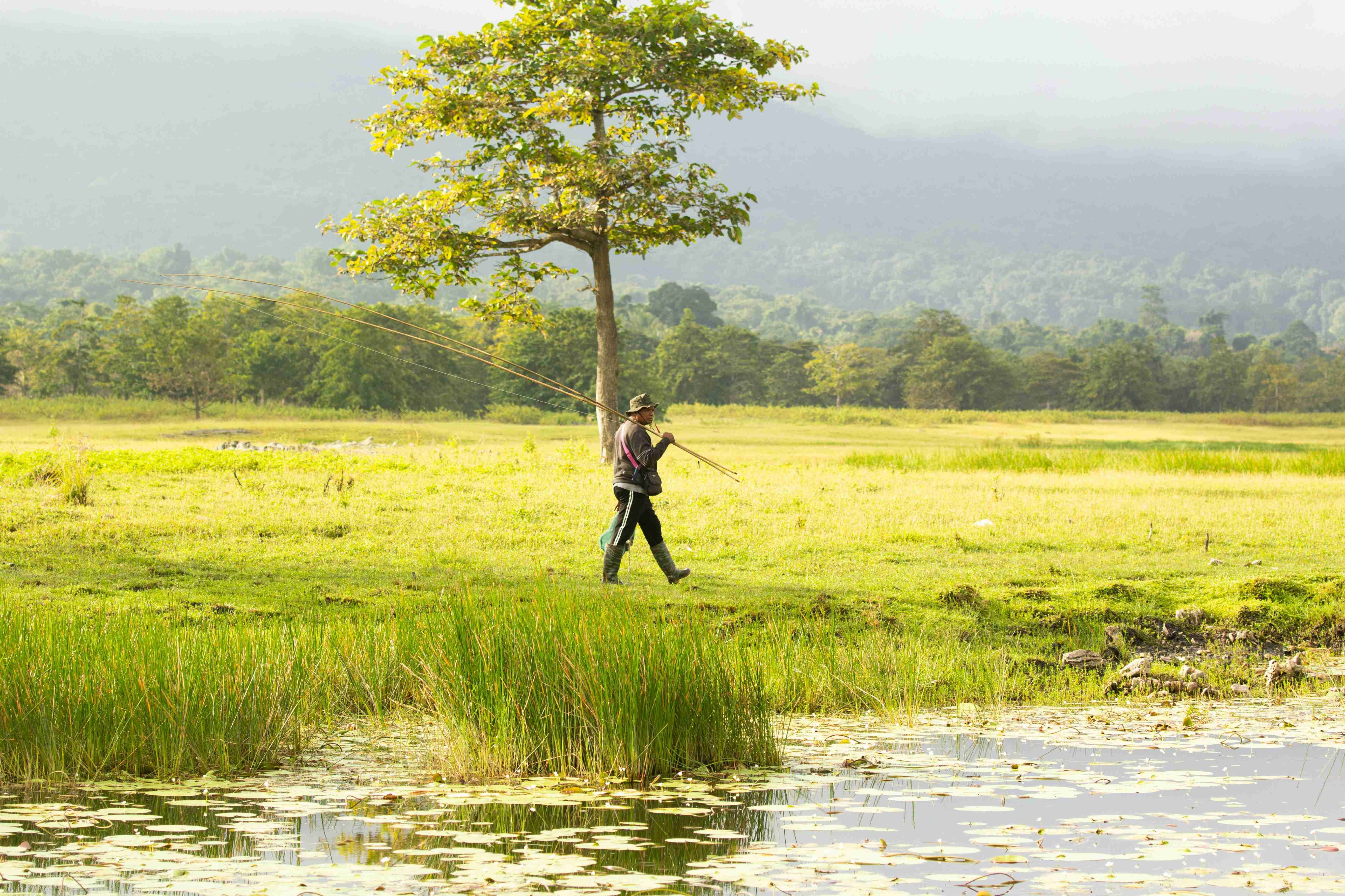 um homem caminhando por um campo verdejante