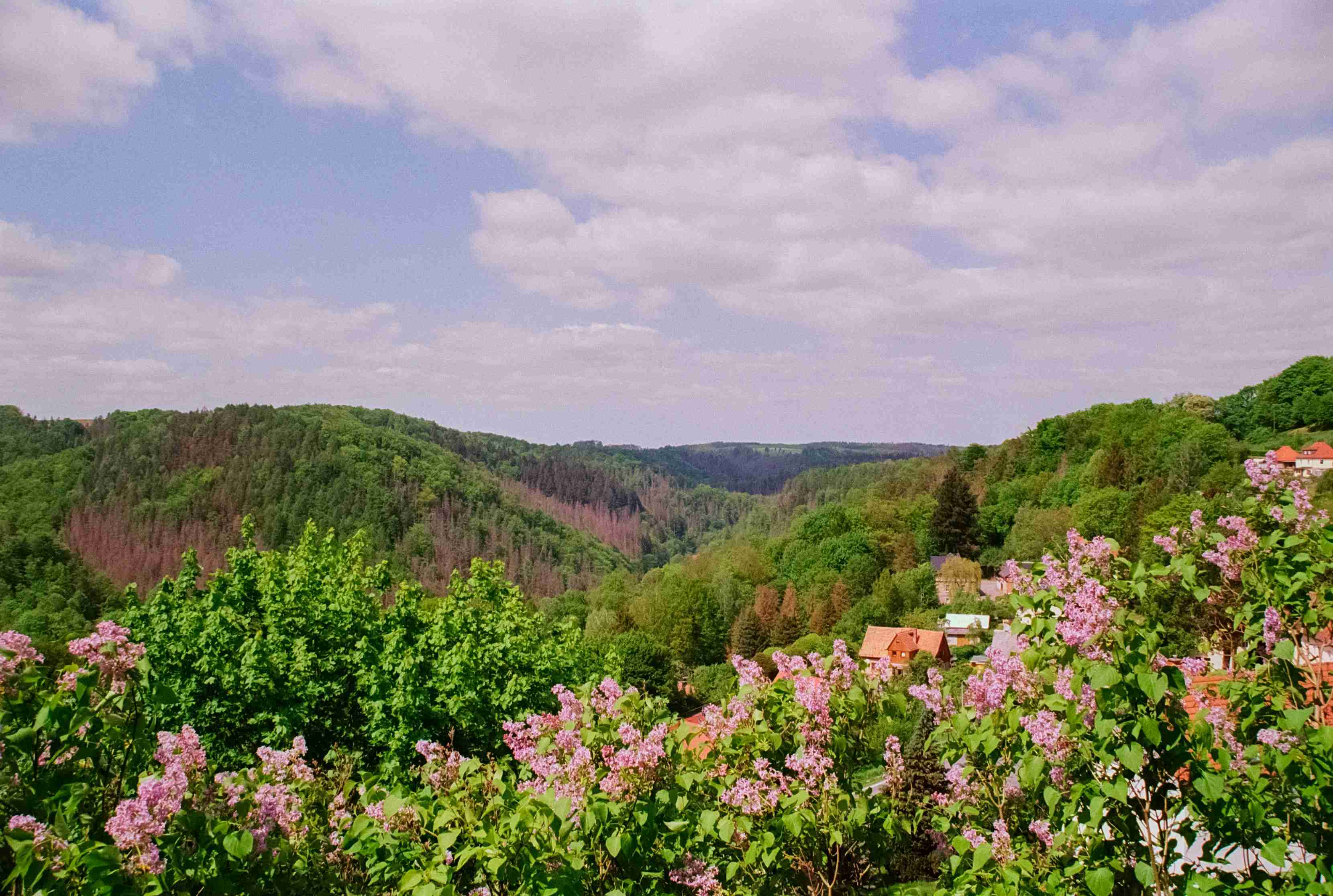 Discover the Best Time to Visit Germany: A Month-by-Month Travel Guide