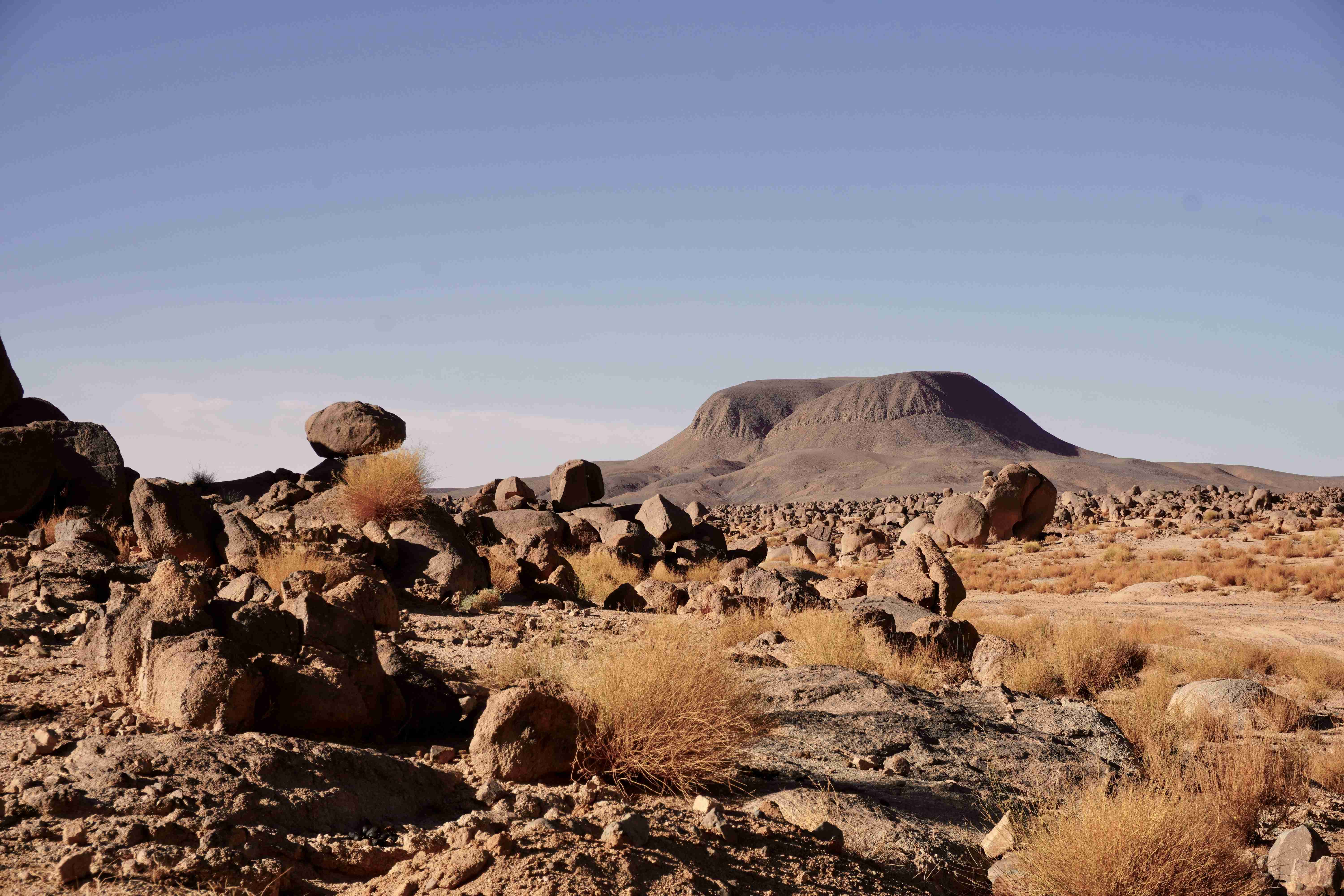 एक चट्टानी परिदृश्य जिसमें पृष्ठभूमि में एक पहाड़ है