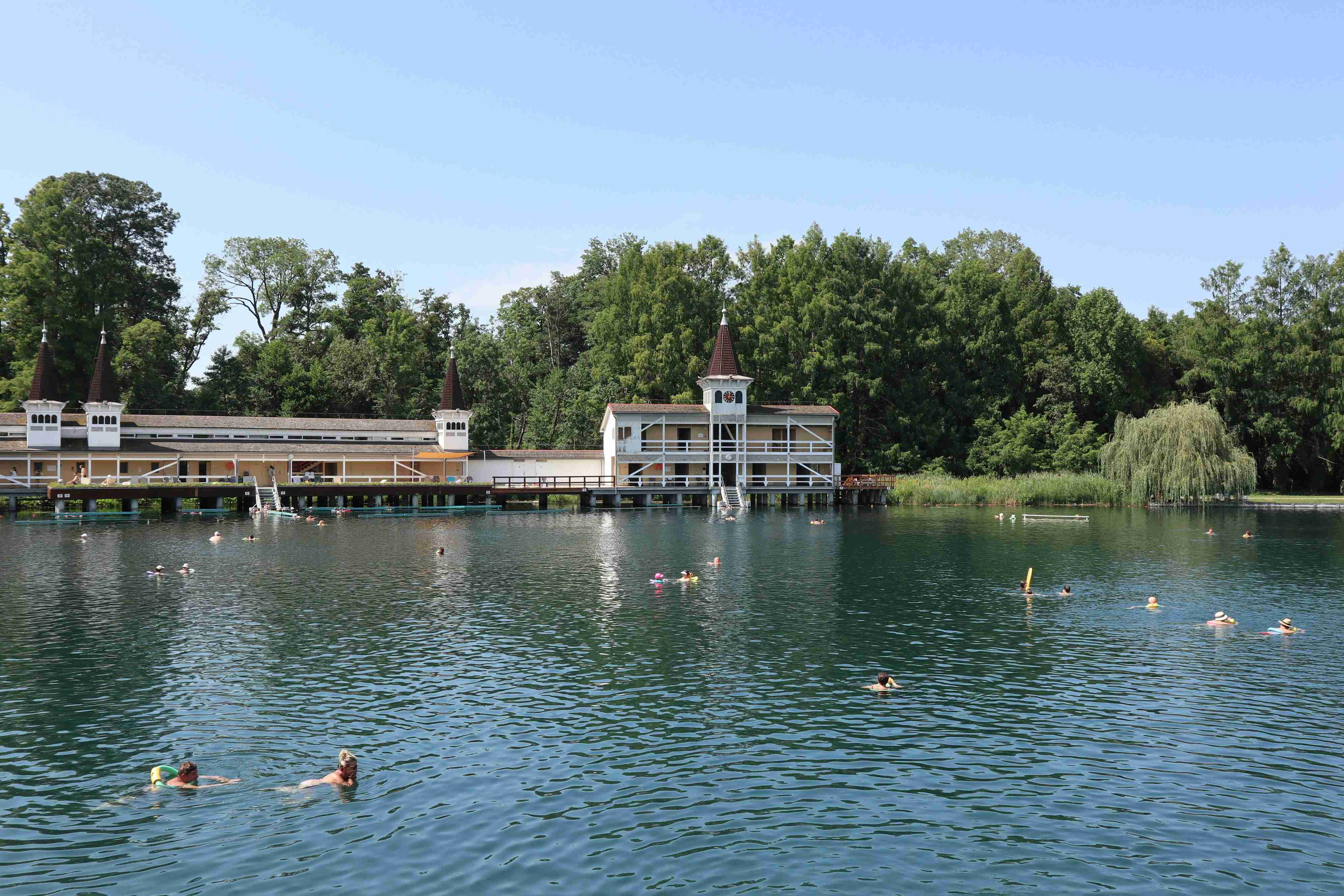 a large body of water with ducks swimming in it