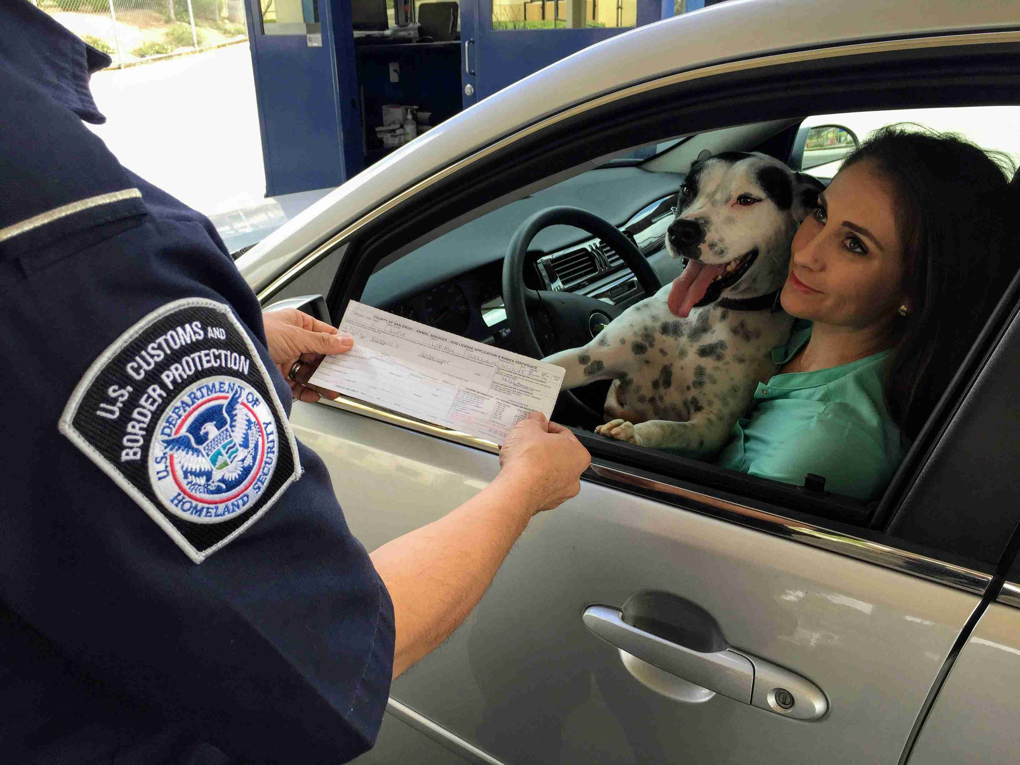 Who Needs to Get an International Driving Permit (International Driving Permit)