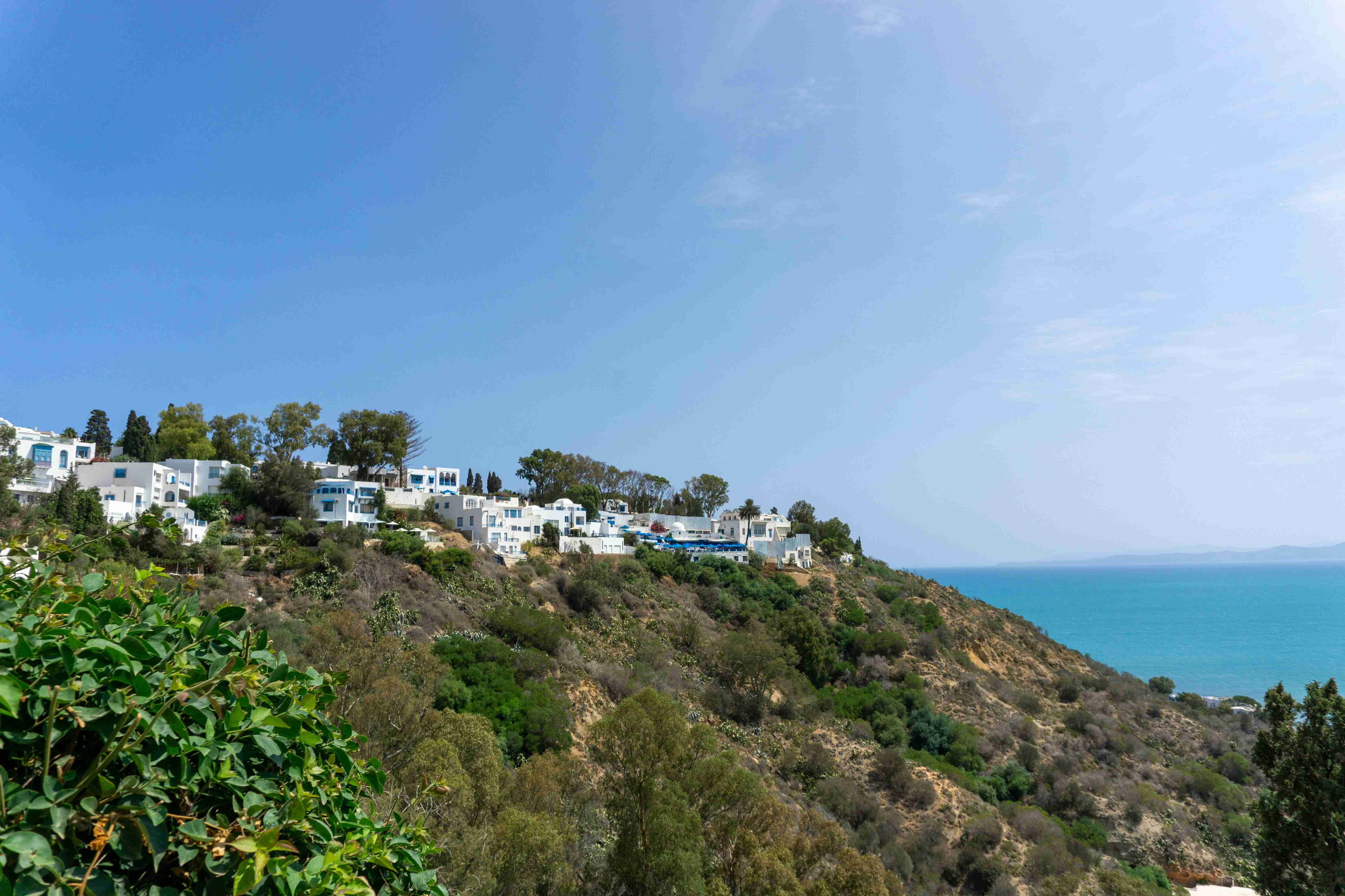 ein-Blick-auf-einen-Hügel-mit-Häusern-oben