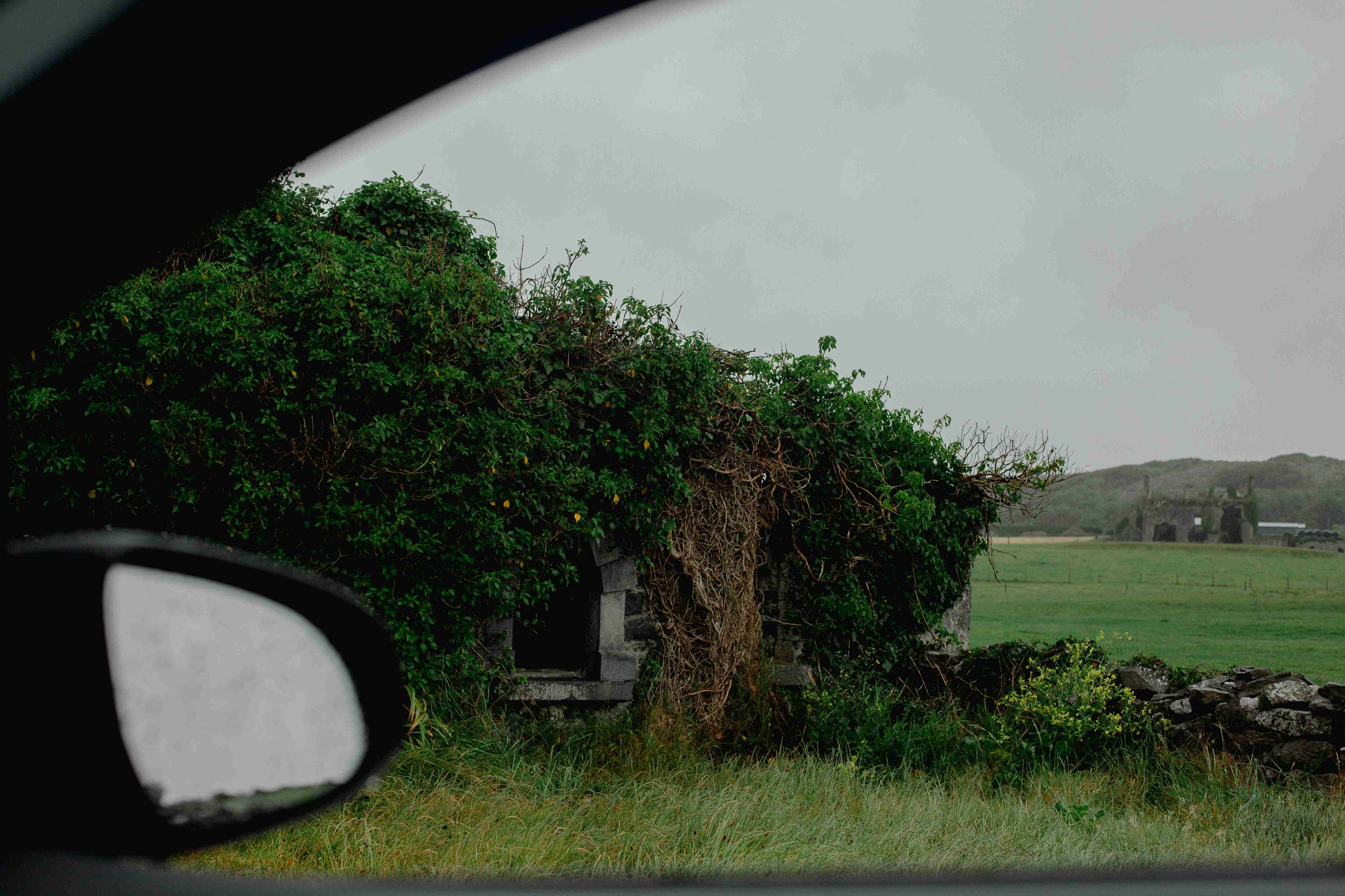 a view of a tree and a building from a car window