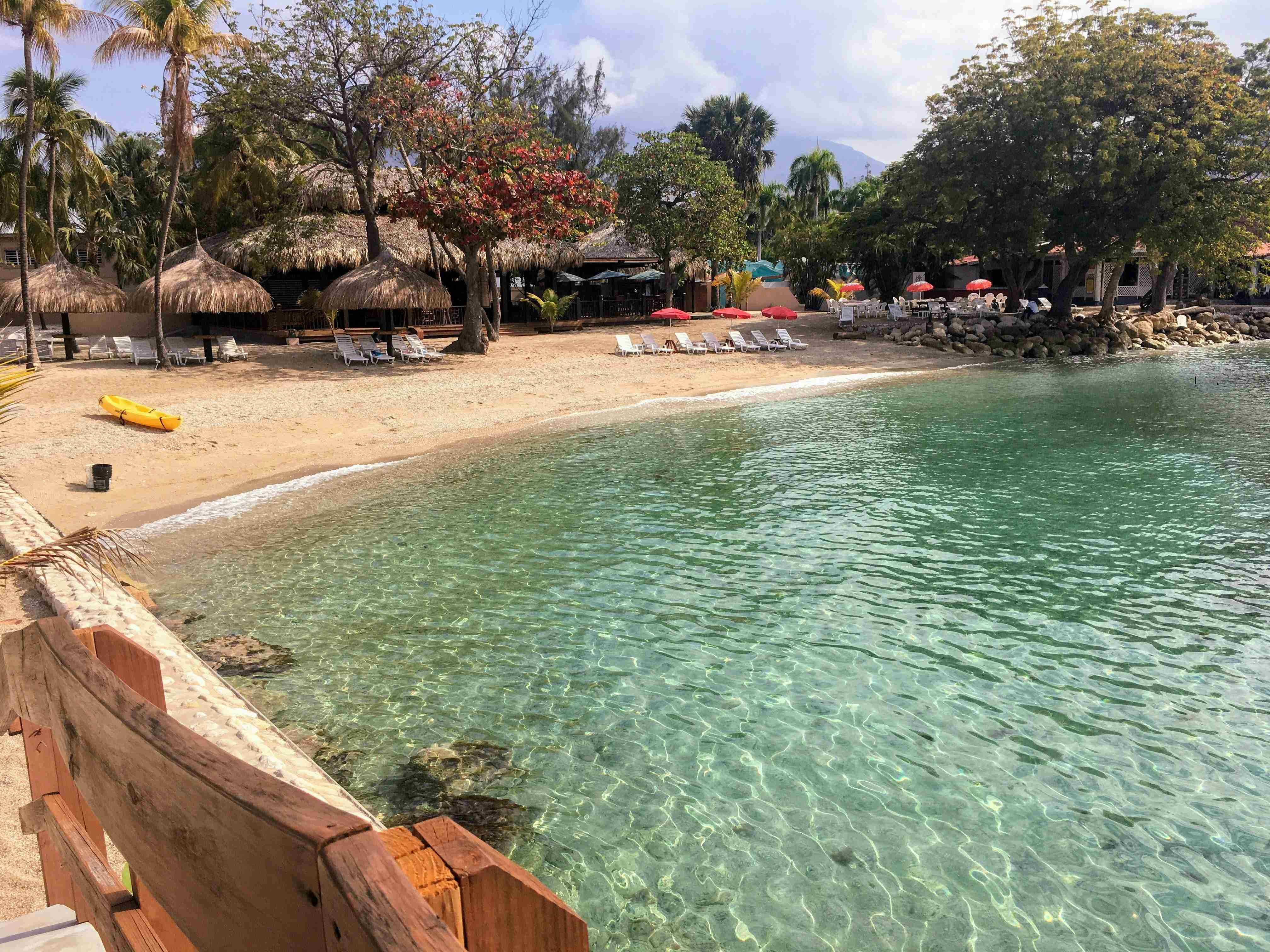 persone che nuotano sulla spiaggia durante il giorno